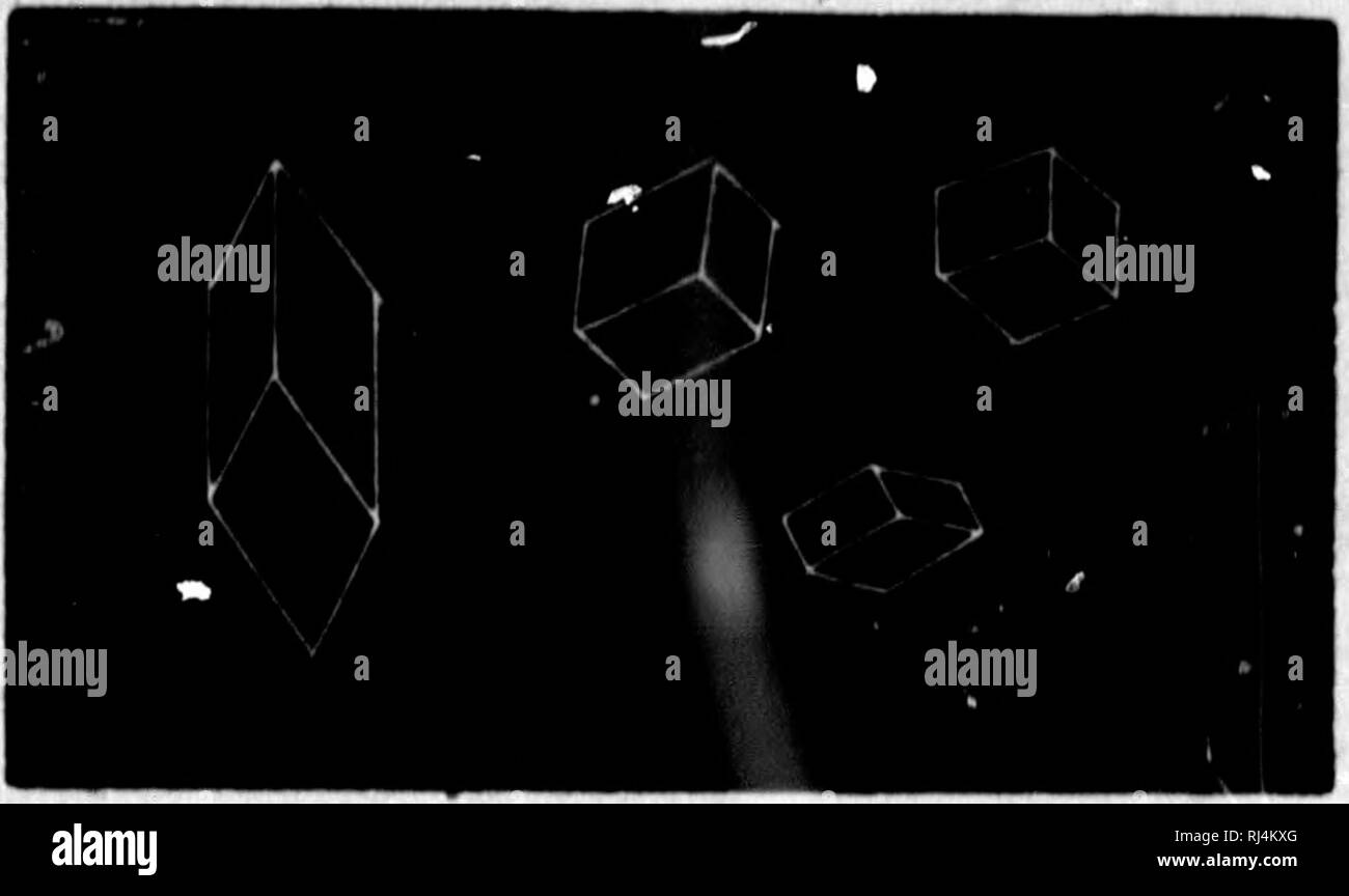 . Elemente de minÃ©ralogie, de gÃ©ologie et de Botanique [microforme]. © MinÃ ralogie; GÃ©ologie; Botanique, Mineralogie, Geologie und Botanik. - 104 - 40. Calcalret PropriÃ©tÃ©s. âHexagonal. Grande variÃ©tÃ© de formeÂ Cristallines". Les rhomboÃ ¨ dres de toute Espò ¨ ce s'y rencontrent trÃ¨s tun, isolÃ©s ou combinÃ © s, Abb. 48 et 49. Clivage net Sui-Vantgarde les Gesichter du rhomboÃ ¨^^' e Primi-tif. Transparente ou translucide. Inco-FÃ® g. 48. Lore ou colorÃ © acci-dentellement, Dur. 3. Dens. 2,70 à 2,73. Unschmelzbaren; Brille fortement. Bitte beachten Sie, dass diese Bilder aus gescannten Seite Bilder, die extrahiert werden Stockfoto