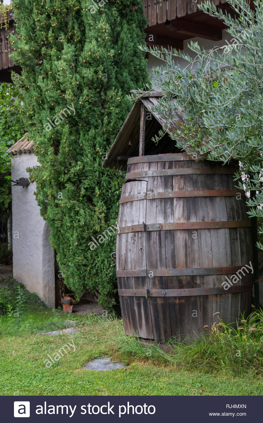 Holzfass Im Garten Zwischen Grunpflanzen Stockfoto Bild