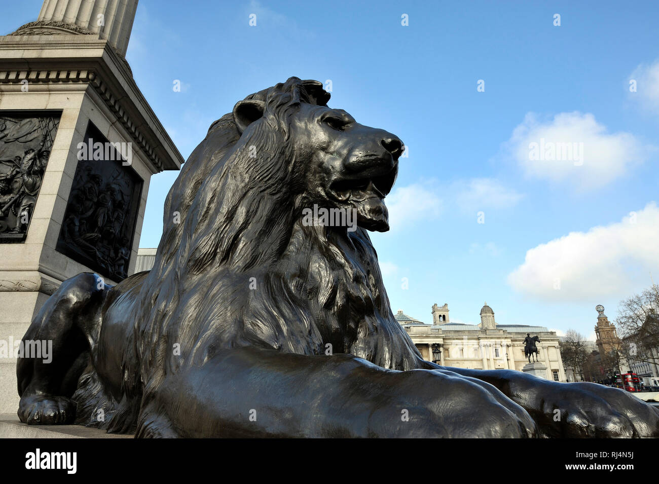 Löwe am Denkmal von Lord Nelson am Trafalgar Square in London. Stockfoto