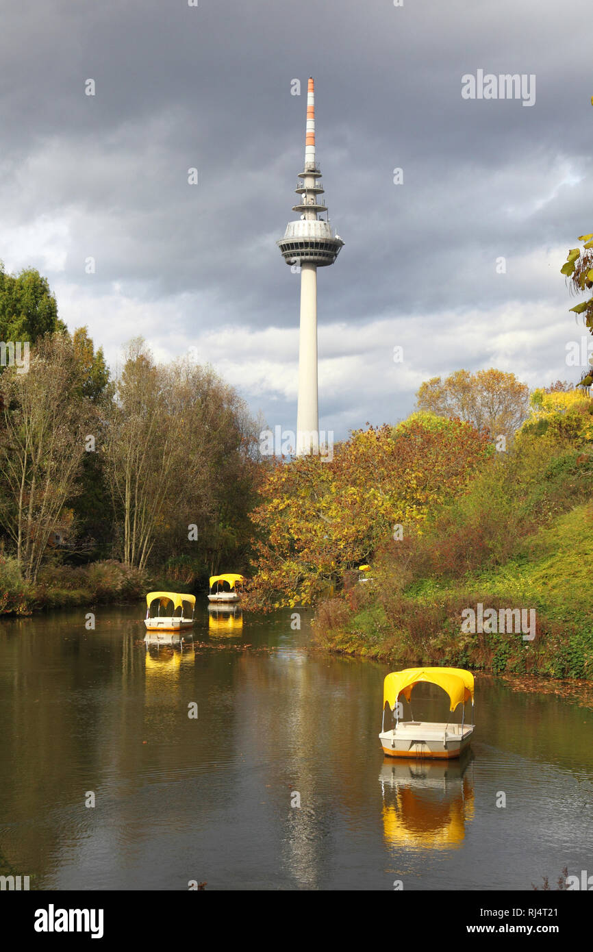 Luisenpark mit Fernmeldeturm von Mannheim im Herbst Stockfoto