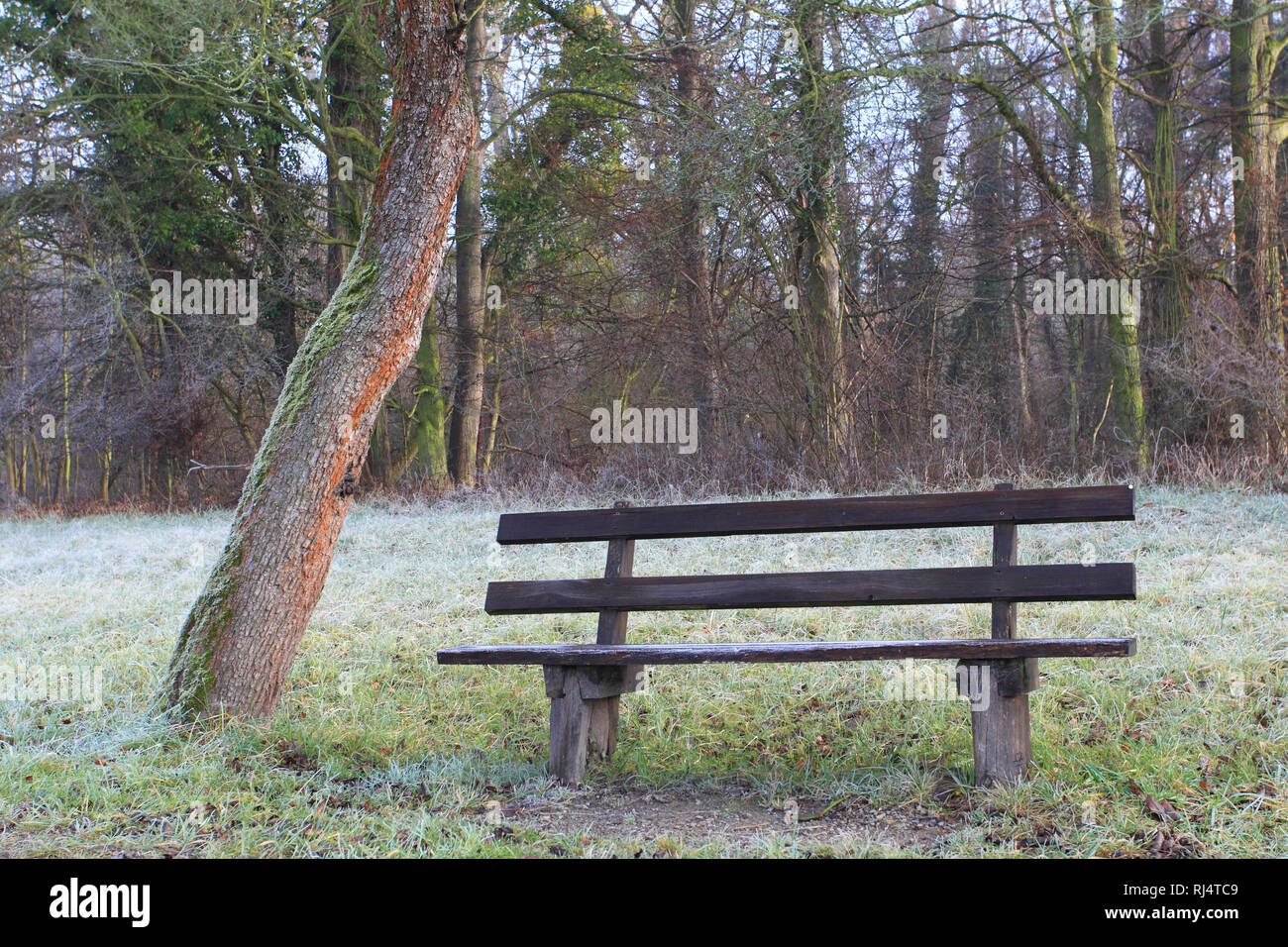 Auenlandschaft mit Bank und Reif im Dezember Stockfoto