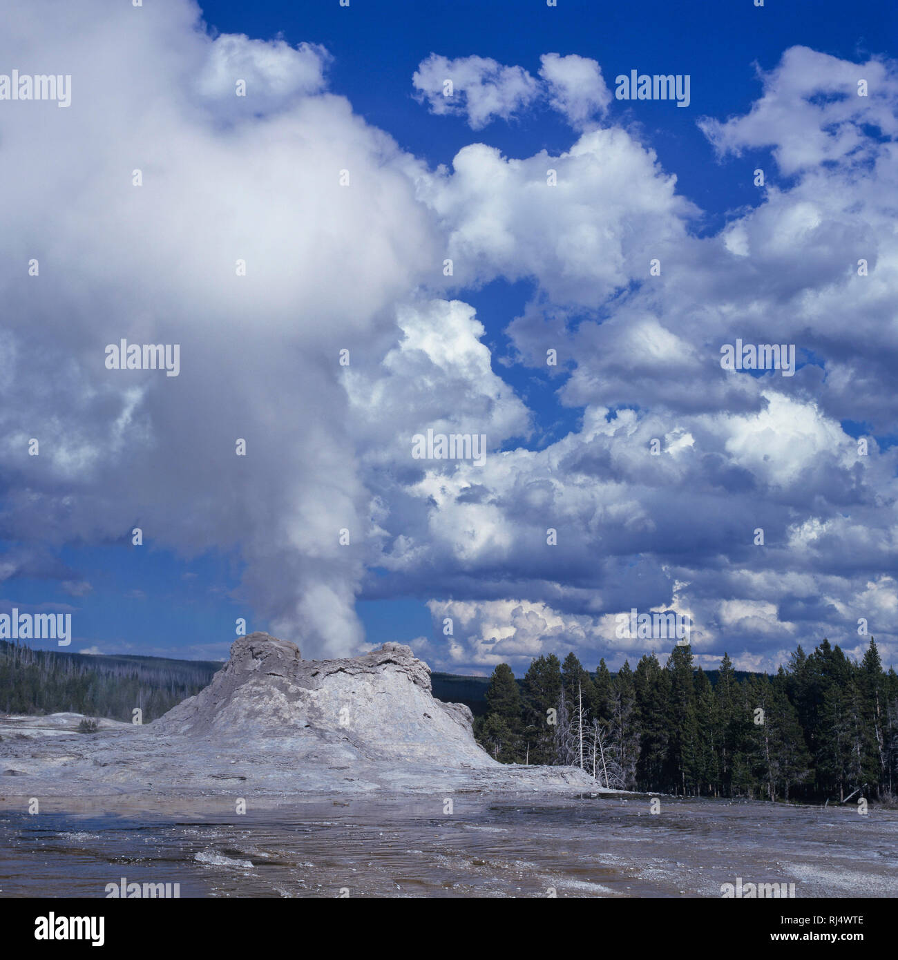 Castle Geyser, Yellowstone Nationalpark Stockfoto