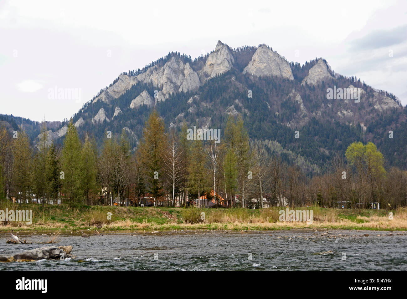 Polen, Dunajec-Fluss mit den Bergen 'Drei Kronen' Stockfoto