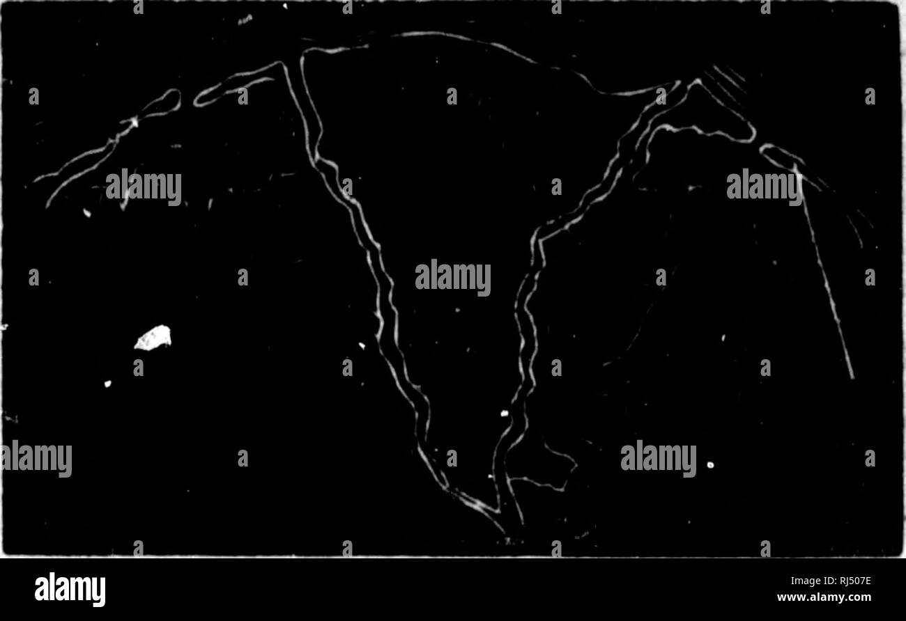 . Elemente de minÃ©ralogie, de gÃ©ologie et de Botanique [microforme]. © MinÃ ralogie; GÃ©ologie; Botanique, Mineralogie, Geologie und Botanik. - 207 - douze 3 Poule, aucoup Doppel Suivant d'inten-) u d'ar-jent, en s'usent, aous du rrondis, narmites fie d'un pi-char-e un-so-pieds de se Einrichtung po-forme nt com-ont Sou-ses d'al-ui-char-e Gagne en une nÃ©rale-t dirigÃ © st Venu. Abb. 115. Le nom de Delta, par Anspielung à la forme de la Qua - triÃ¨me Lettre de l'Alphabet grec. Le delta du Nil, Abb. 115, est un ex-emple, pour ainsi (Lire, Classique de cette forme trian - gulaire. La Fläche des Deltas var Stockfoto