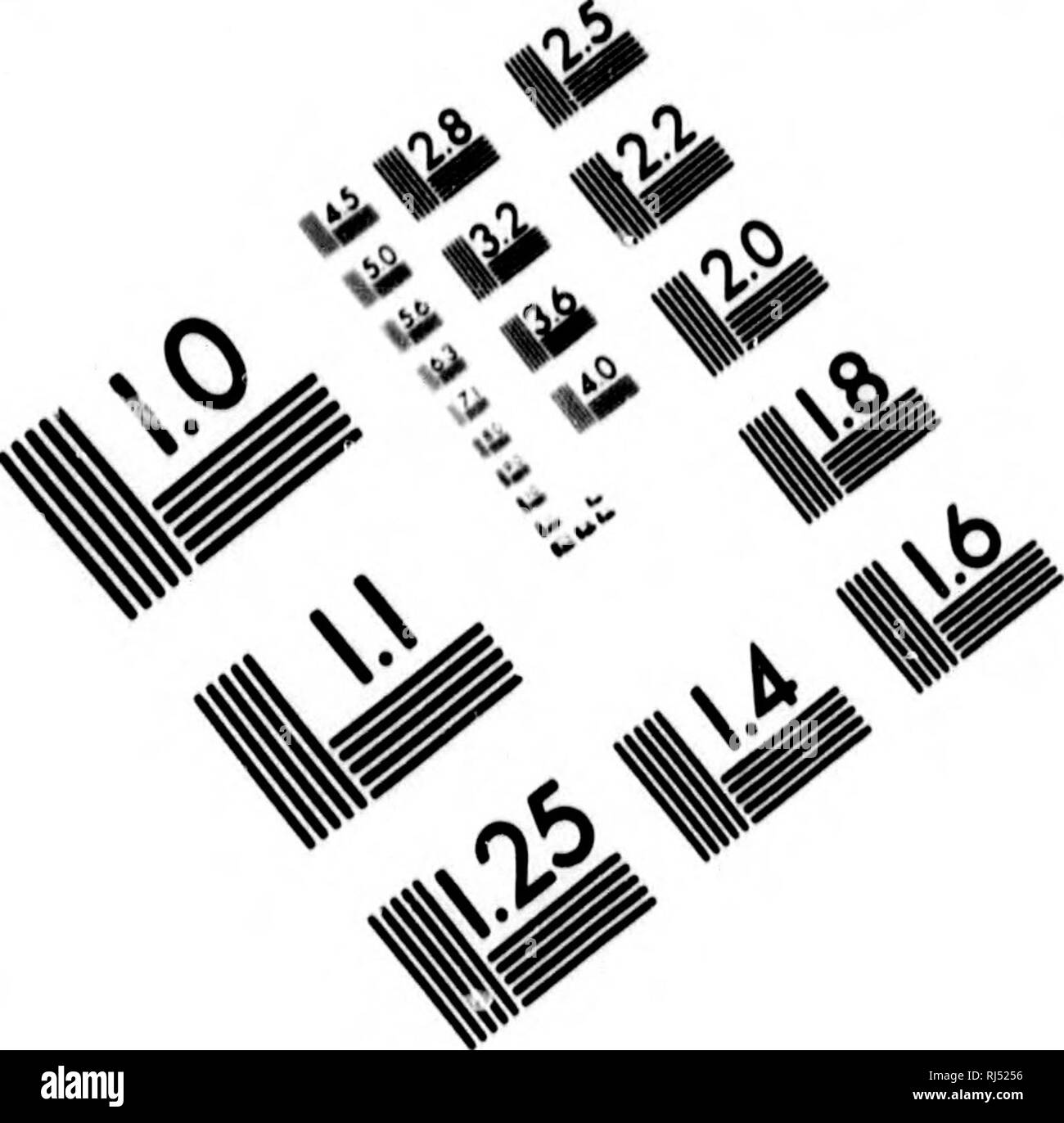 . Audubon und seine Zeitschriften [microform]. Vögel, Ornithologie; Oiseaux; Ornithologie. Bild TEST ZUR BEURTEILUNG ZIEL (MT-S) // // y.y, % 1,0! ria IIM I.I 1,25 Wenn 1^2,0^U III 1,6 V] V)^;;;;;;;; c*:&gt;/&gt;. Bitte beachten Sie, dass diese Bilder sind von der gescannten Seite Bilder, die digital für die Lesbarkeit verbessert haben mögen - Färbung und Aussehen dieser Abbildungen können nicht perfekt dem Original ähneln. extrahiert. Audubon, John James, 1785-1851; Audubon, Maria R. (Maria Rebecca), b. 1843; Coues, Elliott, 1842-1899. New York: Scribner Stockfoto