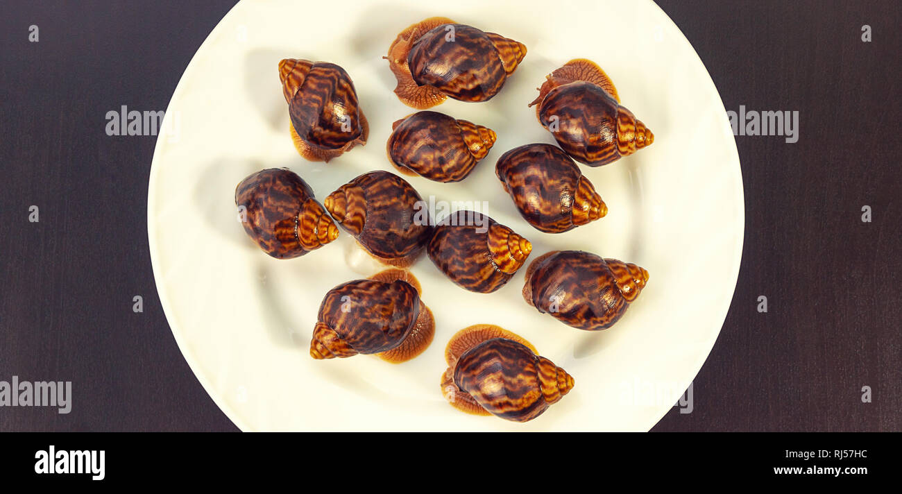 Traube Schnecken, akhatina, auf einer Platte, wie roh essen, eine rawism und als ein köstliches Gericht Stockfoto