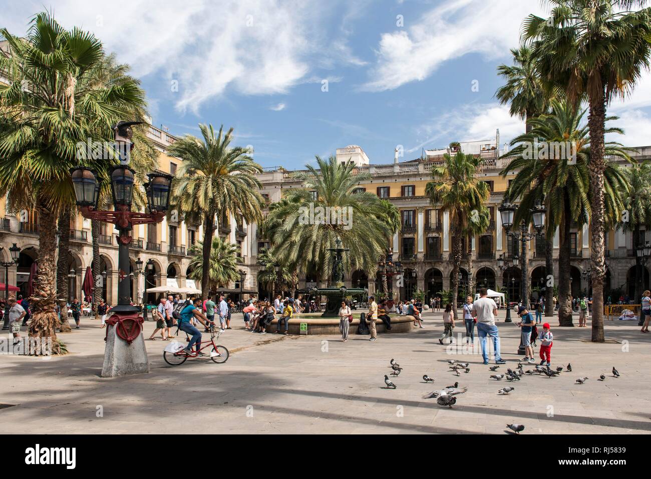 Plaça Reial, Barri Gòtic, das Gotische Viertel, Barcelona, Katalonien, Spanien Stockfoto