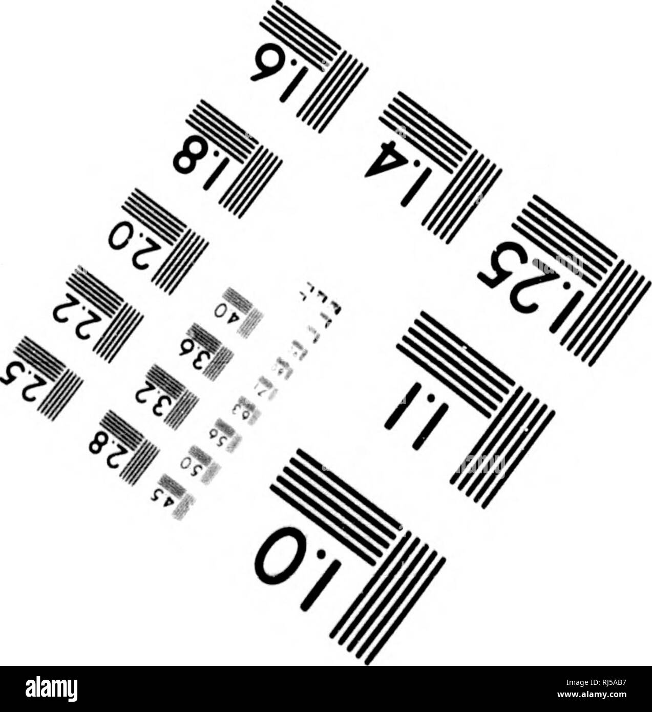 . Die in der Abbildung dargestellte Lager Arzt und Live-Lager Enzyklopädie [microform]: mit Pferden, Rindern, Schafen, Schweinen und Geflügel: mit allen Fakten über die verschiedenen Rassen und ihre Eigenschaften ... und alle Krankheiten, denen sie unterliegen,... die Verhütung von Krankheiten, und die Wiederherstellung der Gesundheit. Heimische Tiere; Veterinärmedizin; Nutztierrassen; Bienen; Animaux domestiques; Bétail; Médecine vétérinaire; Abeilles. 1.0 I.I,50 ,561121 1112.5 IIIIIM 1^ ITF-III 2.0 lllll 1,8 1,25 III 1.4 1.6. Photographic Sciences Corporation 23 WEST MAIN STREET WEBSTER, NEW YORK 14580 (716) 872-4503. P Stockfoto