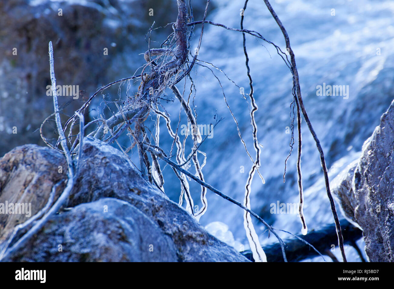 Natürliche Eisformen im Gebirgsfluß Stockfoto