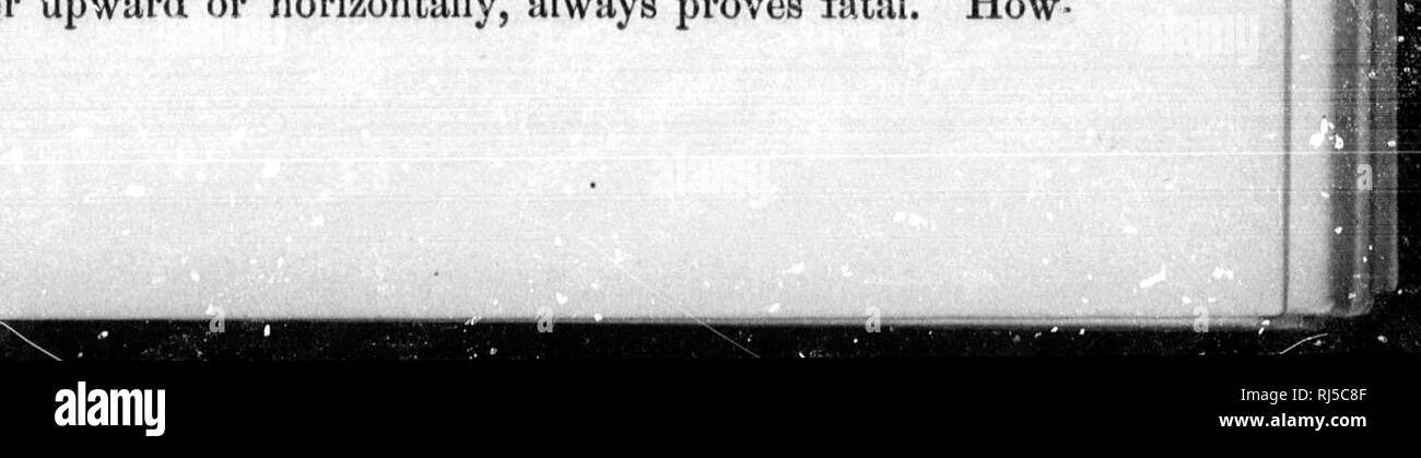 . Wiese und Wald [microform]: eine Beschreibung des Spiels in Nordamerika, mit persönlichen Abenteuer in ihrer Verfolgung. Jagd; Angeln; Chasse, Pêche sportive. Ein guter Schuß. 103 als ratsam, waren wir Zeugen der "Fast-glaubwürdige Sie fortfahren. Bruin offensichtlich in einem grossmütigen Rahmen des Verstandes oder wurde von seinem natürlichen Höflichkeit zu überwinden, für, ohne sich oder Übel zurichten, niemals für einen Moment über seine Zähne, hob er die armen Schafe zwischen seinen Pfoten, l) Es laoed auf der Oberseite der Schienen, dann über geschoben und mit der Agilität eines Windhundes gelöscht der Zaun Selbst. Der Schock hatte wecken Stockfoto