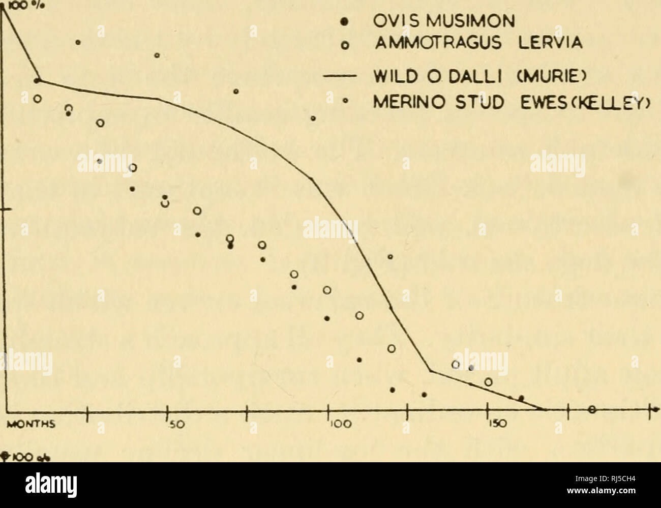 . Ciba Foundation Kolloquien über das Altern. Alter; Alterung; Tiere - Wachstum & Amp; Entwicklung. 14 A. Komfort • OVISMUSIMON o AMMOTRAGUS LERVIA - WILDE O DALLI CMURIE) • MERINO STUD EWESCKELLEY). Wölfe KYÂ "BIOS-C I U *6 "Ci. OCCIOCNTAUS O O O wilde Ziege 49 INUVDUALS tâtââ=âtr-H Abb. 3. Überleben Kurven der Tiere, die im Zoo von London, Geschlechter kombiniert. Von 158 Mufflons (Ovis musi-mon) aufgestellt, 148 Barbary gehörnte Schafe (Ammotragus lervia), 95 hybrid Wölfe (Cams lupus lupus x C./. Occidentalis) und 45 wilde Ziegen (Capra aegagrus hircus). Die Kurve der sur-Belebung der wilde Schafe (O. dalli) und Ziff. Stockfoto