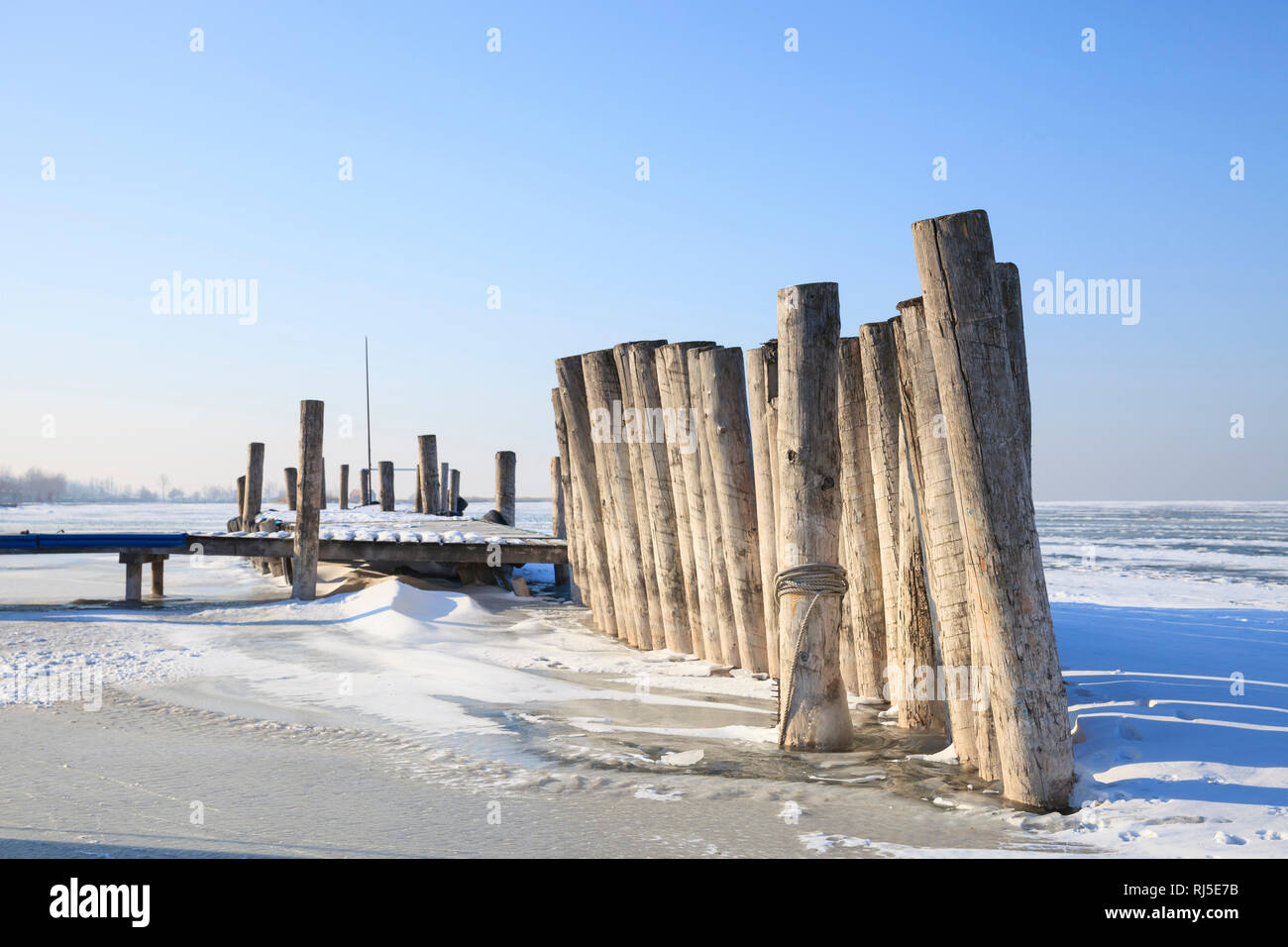 Vereiste Bootsanlegestelle am zugefrorenen Neusiedler See, bei Podersdorf am See, Burgenland, Österreich, Stockfoto