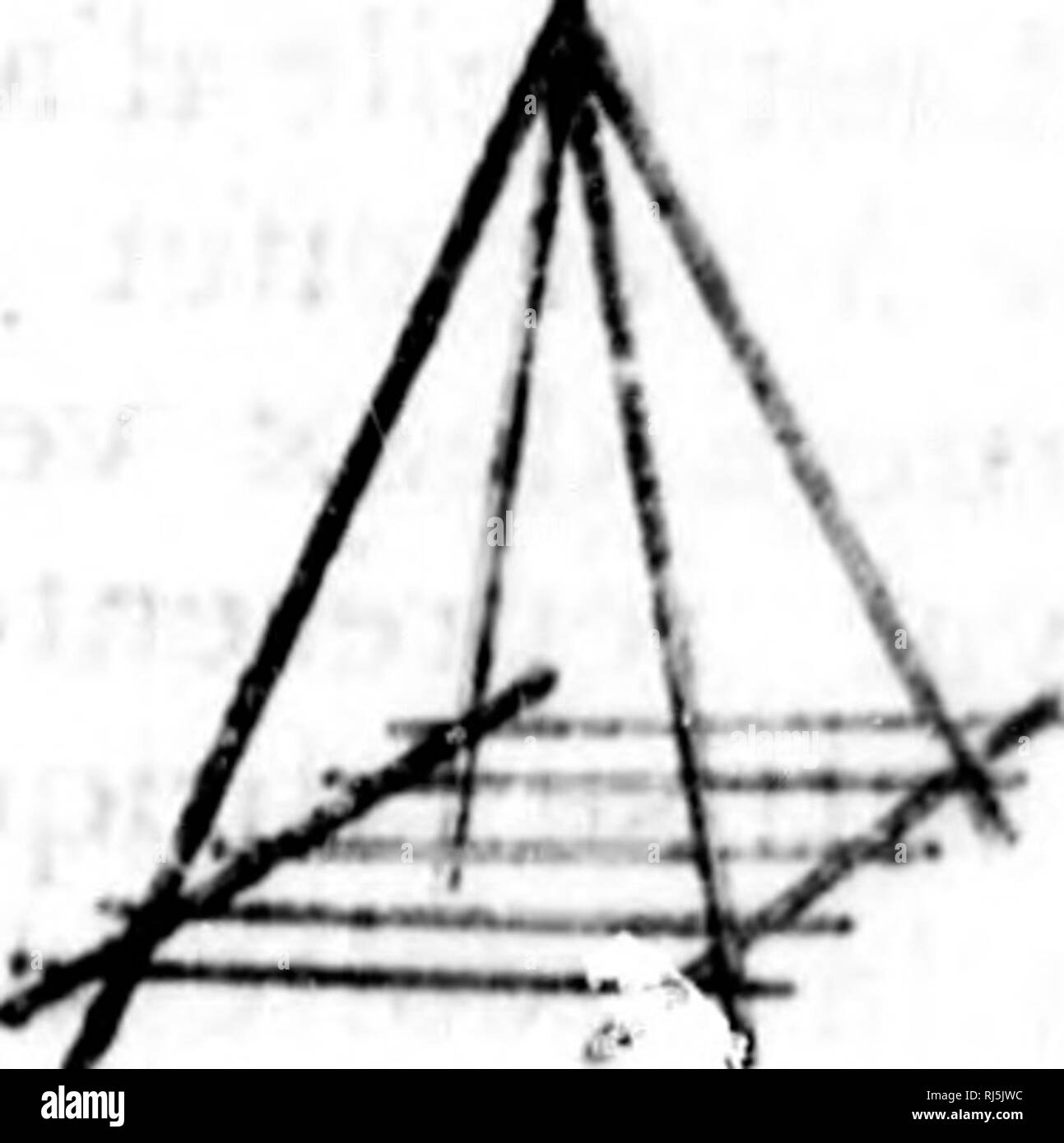 . Une leÃ § d'Landwirtschaft [microforme]: causeries agricoles. Landwirtschaft; Landwirtschaft. l/7 Ã" CAUsF. kIt AGKICOI. K79 212. RECOULTER LES Feves BLANCHES. âLa plupart des cultivateurs arrachent leurs fÃ¨ves quand Elles sind mÃ "res, et les laissent sÃ© cher sur le Champ. Nous prÃ©fÃ©Rons elles Les arracher Avant qu'soient tout-À-fait mÃ "res, et qu'ellcb puissent s'Ã©graincr; Bad, nous les Petits meulons mettons en sur le Champ. Pour Cela, auf Prend quatre grosse Lattes de Quatre pieds de Lange, auf passe un Gros fil de Fer à Travers le Haut les rÃ©unir Ensemble gießen. Auf passe Ã©galement Stockfoto