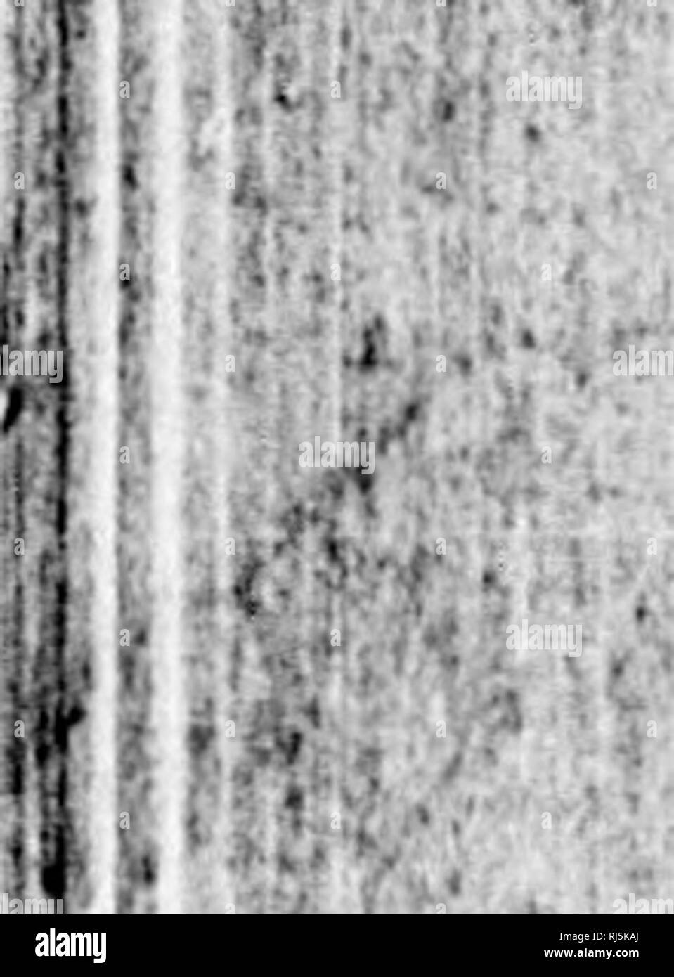 . Ahorn Blätter, 1894 [microform]: Kanadische Geschichte, Literatur, Ornithologie. Vögel; Autoren, Kanadische; Oiseaux; Ecrivains Canadiens. - 328 - Es;. Meine Damen und Herren, mit Ihrem jiermission, wir. sluiU folgen Sie den Spuren von Professor Ivalm adventnious, in unseren Straßen und runden unser Alter Stadt, hundert und vor dreißig Jahren, und nehmen Sie die n ("te, was seine cieerone, Dr. (laulthicr, erzählen kann ihn ahout des "alten Fels", seine Bewohner, Zoll, &Amp; c. Kalm, auf dem Weg zum Clifitcau St. Louis, musste^ lountain Hügel besteigen. Sollen wir n (Sie haben ein Wort sagen, uns veiy famiha Stockfoto