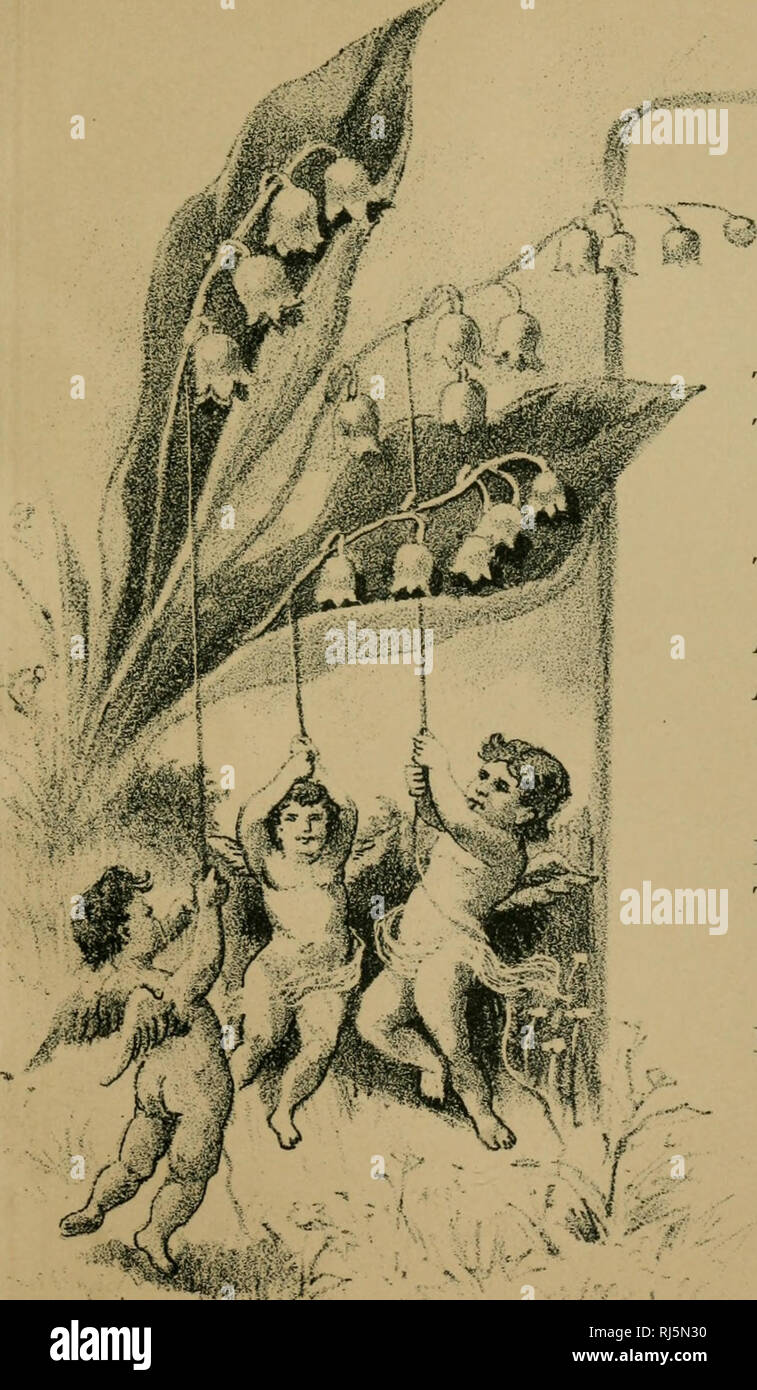 . Weihnachten einen Gruß:. Blumen in der Literatur. J * ''A?r - ≪^ AaBitSW -''';-*g.^! s^iK: Si ^,.,.,,...^^ lilLY OP den UALLEY. KONDEAU. Die Glocken wurden erklärt, in Freuden des Tages, die klingeln, wenn der erste Du cam t in unserem Hause begeistern zu sein; und in meinem Durch die Liebe supreme, geheimnisvolle ein Diese Glocken haben unaufhörlich angerufen. Und an diesem Tag kommt es zu mir aufs Neue die zärtliche Erinnerung an die süße Freude, die aber in der Glocken wurden erklärt. Liebes Kind, in dessen süße Augen, ich sehe die Himmel, die vorstehend für mich wartet, wie weit weg von mir wäre der Himmel wie als Waisen zurücklassen würde meine Uhr werden, wenn durch einen dunklen Tag für th Die Glocken ivere Stockfoto