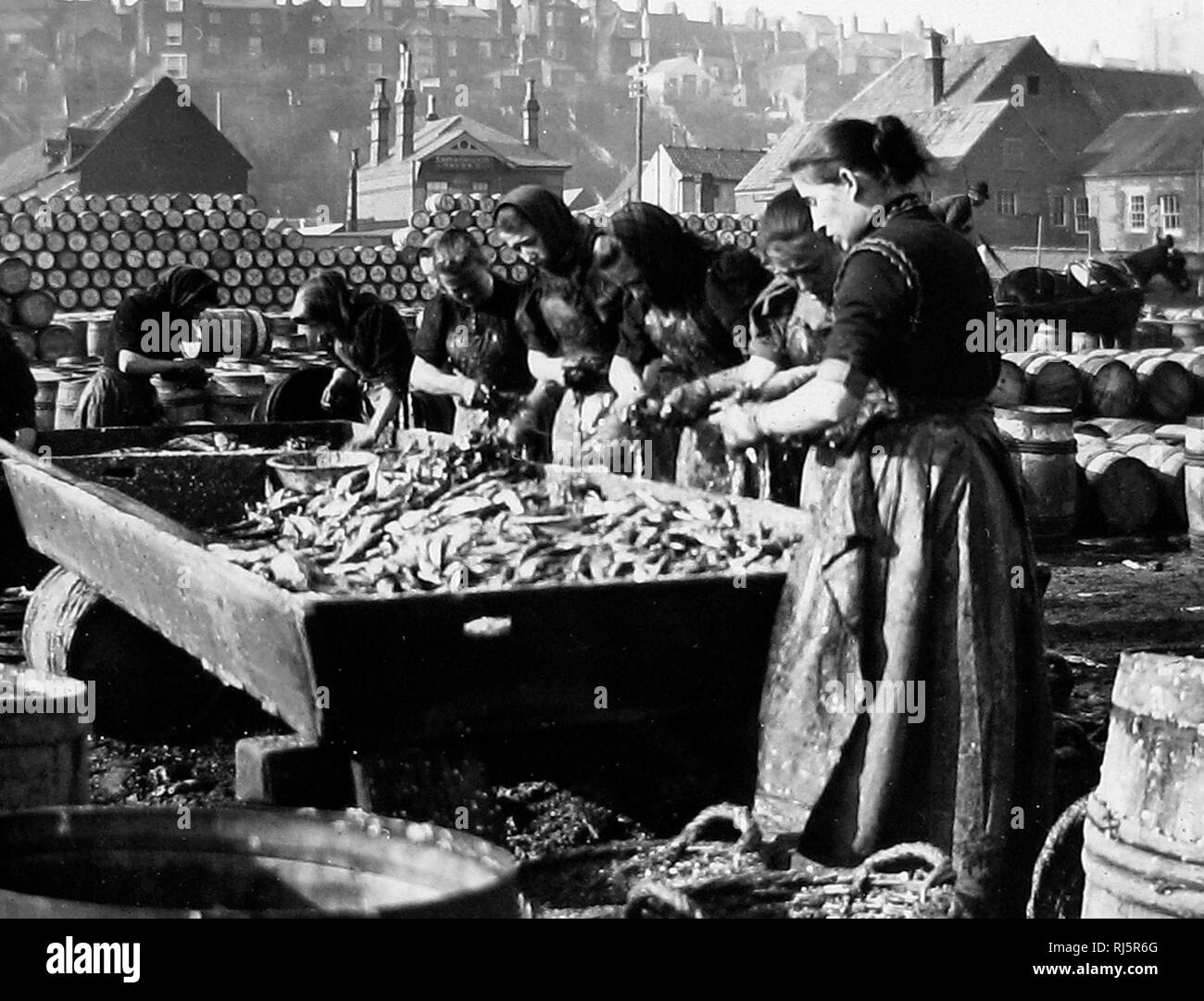 Fisch Mädchen, Lowestof Stockfoto