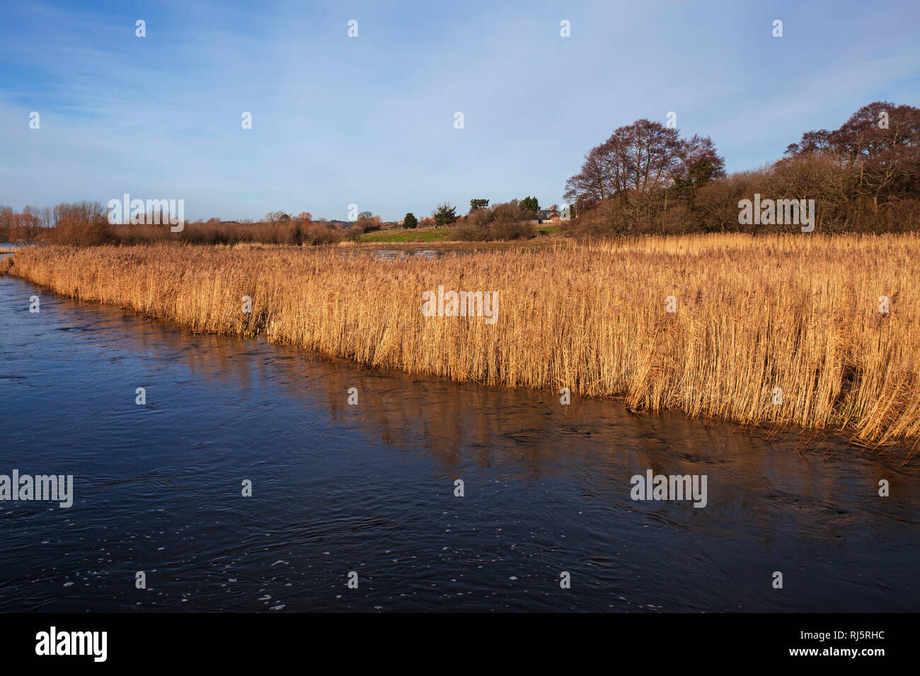 Fluss Avon in der Flut Avon Causeway Hampshire England Großbritannien Stockfoto