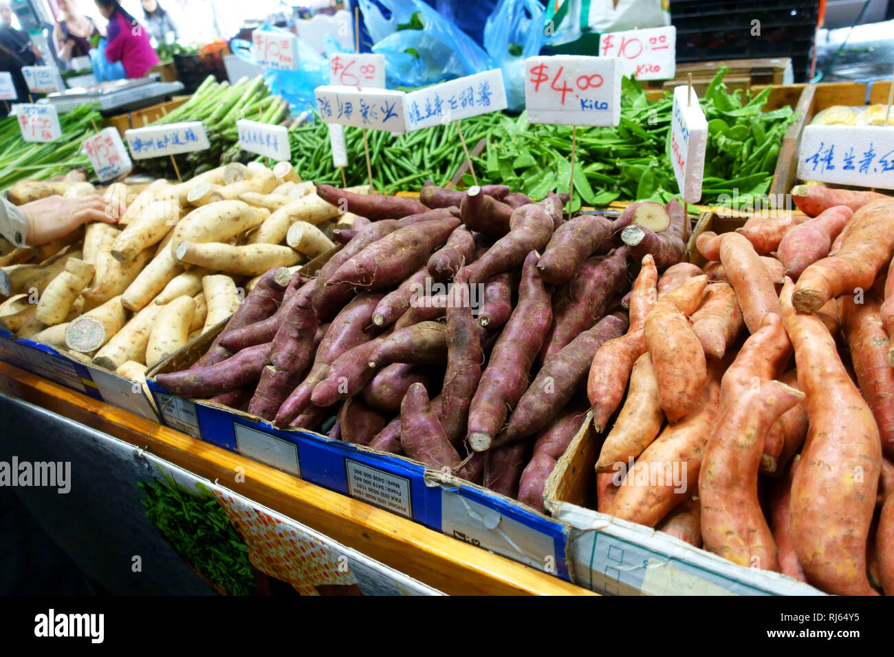 Sorten von raw Süßkartoffeln für den Verkauf am lokalen Markt Stockfoto