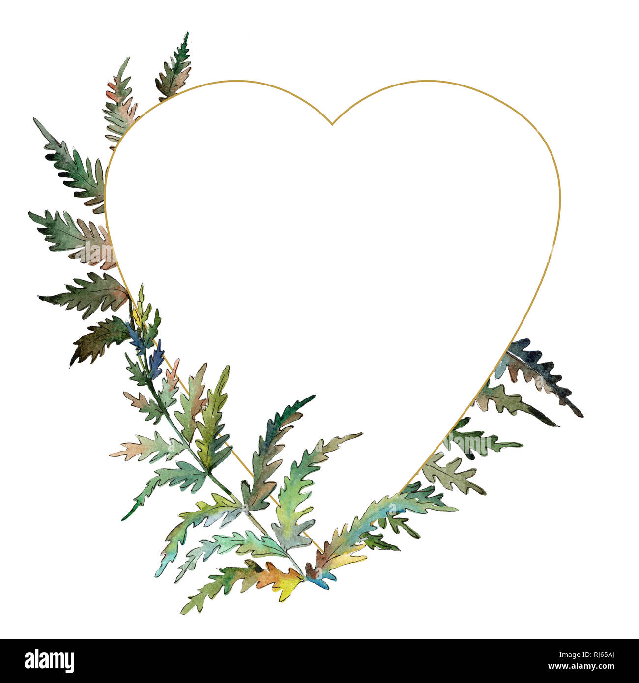 Farn grnes Blatt. Pflanze Garten Blumen Laub. Aquarell Hintergrund  Abbildung. Rahmenlinie ornament Quadrat Stockfotografie - Alamy