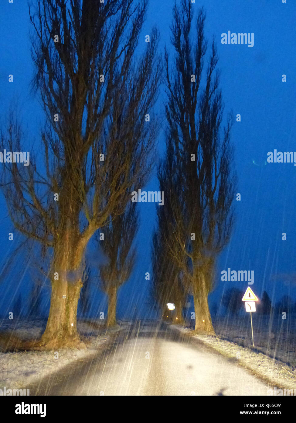 Ttree gefütterte Winter Straße während der Dämmerung Stockfoto