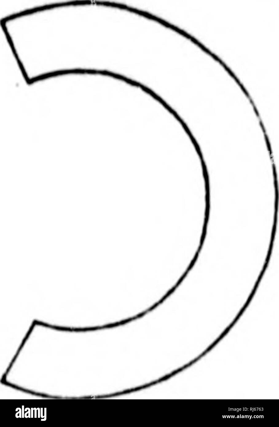 . Manuel d'Gartenbau pratique et d'Baumzucht fruitière [microforme]. Baumzucht fruitière; Jardinage; Obst - Kultur; Im Garten arbeiten. - 208 - ij i' i: ^ Ich. Bitte beachten Sie, dass diese Bilder sind von der gescannten Seite Bilder, die digital für die Lesbarkeit verbessert haben mögen - Färbung und Aussehen dieser Abbildungen können nicht perfekt dem Original ähneln. extrahiert. Laroque, G. Québec: J.-A. Langlais Stockfoto