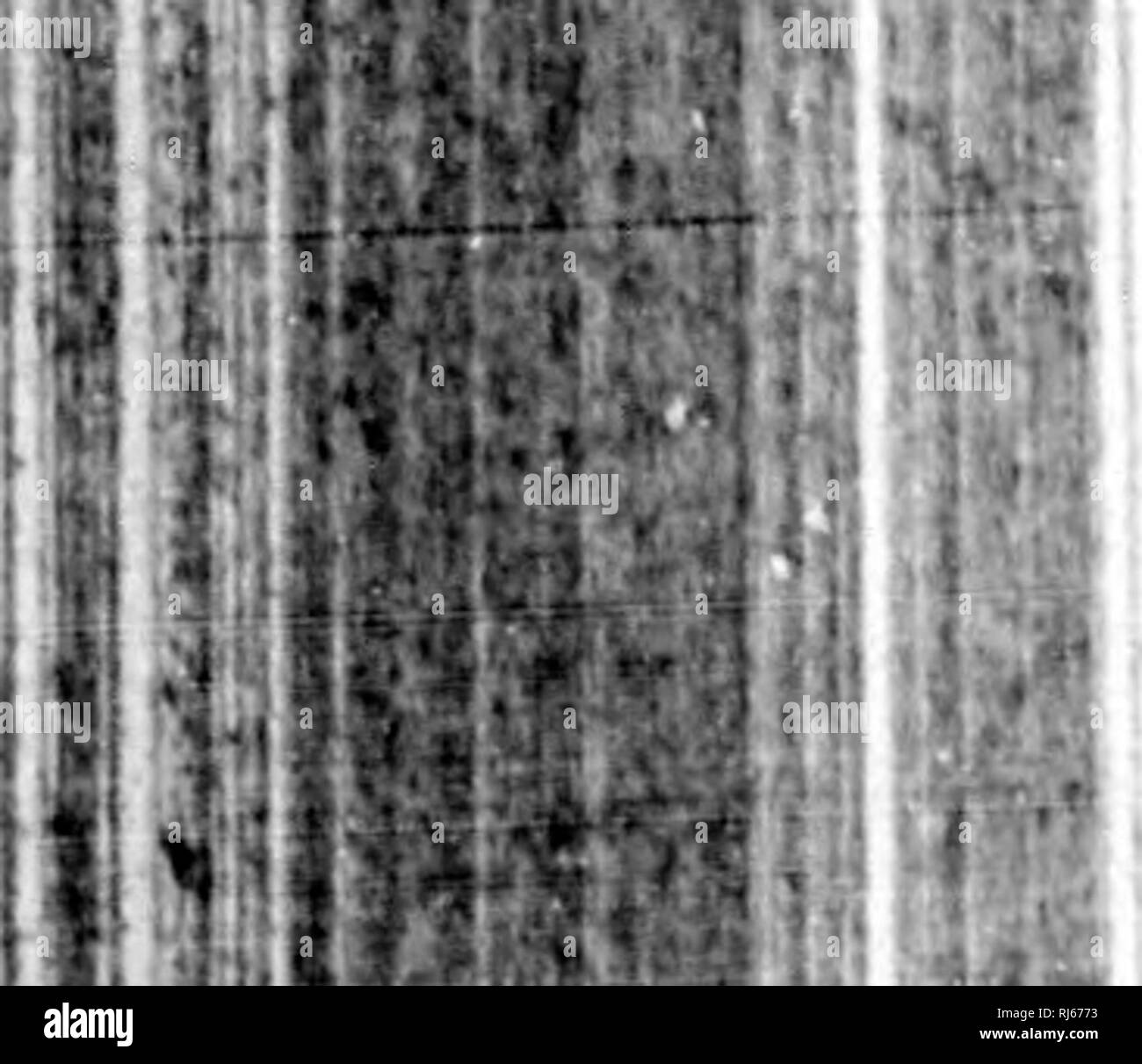 . Manuel d'Gartenbau pratique et d'baumzucht FruitiÃ¨re [microforme]. Baumzucht FruitiÃ¨re; Jardinage; Obst - Kultur; Im Garten arbeiten. Â 200 â 1 â â¢ II 11 Ich^^^^^ bB:. Bitte beachten Sie, dass diese Bilder sind von der gescannten Seite Bilder, die digital für die Lesbarkeit verbessert haben mögen - Färbung und Aussehen dieser Abbildungen können nicht perfekt dem Original ähneln. extrahiert. Laroque, G. QuÃ©Bec: J.-A. Langlais Stockfoto
