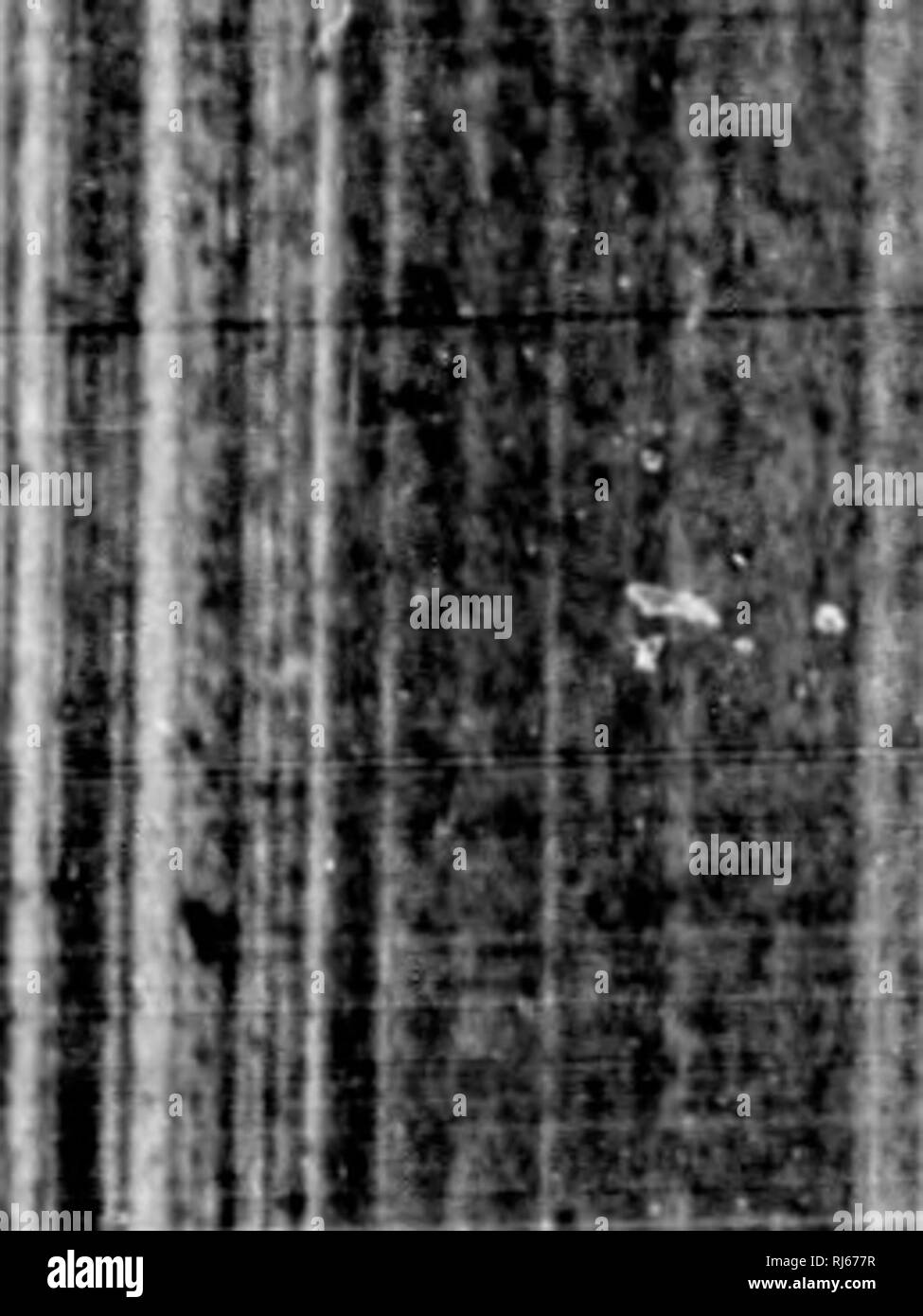 . Manuel d'Gartenbau pratique et d'baumzucht FruitiÃ¨re [microforme]. Baumzucht FruitiÃ¨re; Jardinage; Obst - Kultur; Gartenarbeit.rU'!;;;;;;;; t l-&lt; -. Â ¢ â ¢'"%^ ,:': j^i.: -. Bitte beachten Sie, dass diese Bilder sind von der gescannten Seite Bilder, die digital für die Lesbarkeit verbessert haben mögen - Färbung und Aussehen dieser Abbildungen können nicht perfekt dem Original ähneln. extrahiert. Laroque, G. QuÃ©Bec: J.-A. Langlais Stockfoto