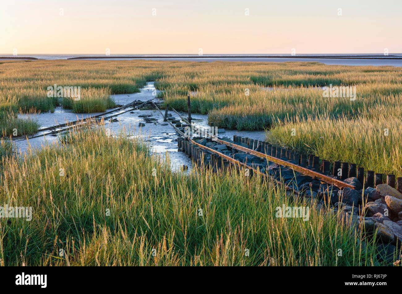 Europa, Deutschland, Niedersachsen, Spieka-Neufeld, Abendsonne in alten Lorenschienen im Watt Stockfoto