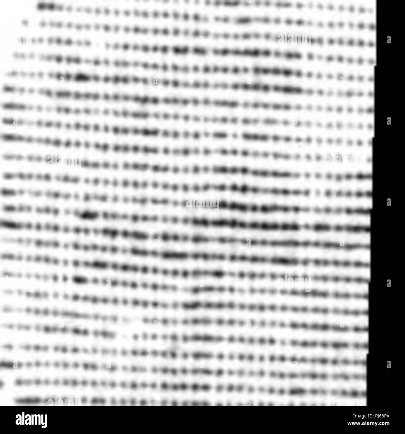 . Manuel d'Landwirtschaft [microforme]. Landwirtschaft; Landwirtschaft. bv:? Si | Éi''''' Es hä e^&amp; ich. 't'^v' i# "illiililiil iliifflil iliiiill {4 | | | | Ich llllllljiillilililîaii iîljll ptiiwliliiHill (iM | Al | L | tiiilillKlira, Ji | L | | | I |&gt; MIU. ii^ Abb. 84-Hauses Crible séparateur Mobile. 379. Cribles séparateurs. - FABRIQUE DE maintenant parfaitement nettoient cribles qui tous les Grains et Graines,. Bitte beachten Sie, dass diese Bilder sind von der gescannten Seite Bilder, die digital für die Lesbarkeit verbessert haben mögen - Färbung und Aussehen dieser Abbildungen können nicht perfekt dem Original ähneln. extrahiert. Stockfoto