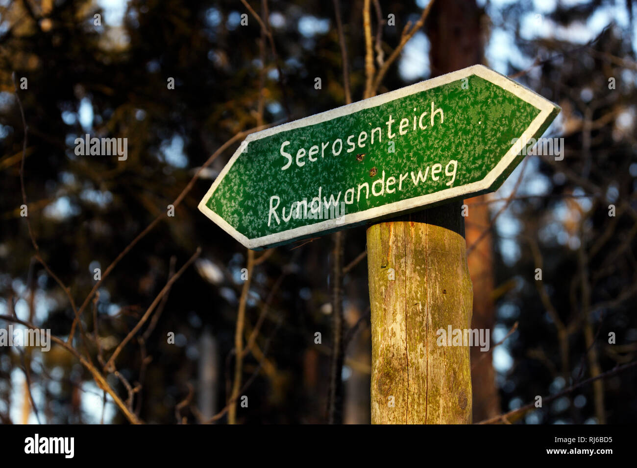 Pennewitzer teiche Fotos und Bildmaterial in hoher Auflösung Alamy