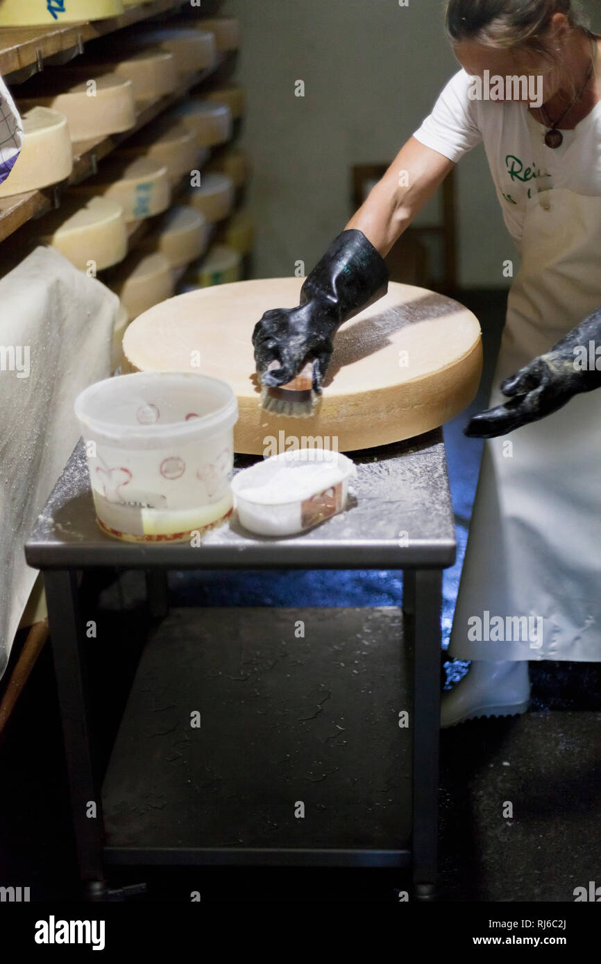 Die Sennerin verarbeitet frische Milch zu würzigem Alm-Käse, Lagerung und Reifung im Keller sterben, Stockfoto