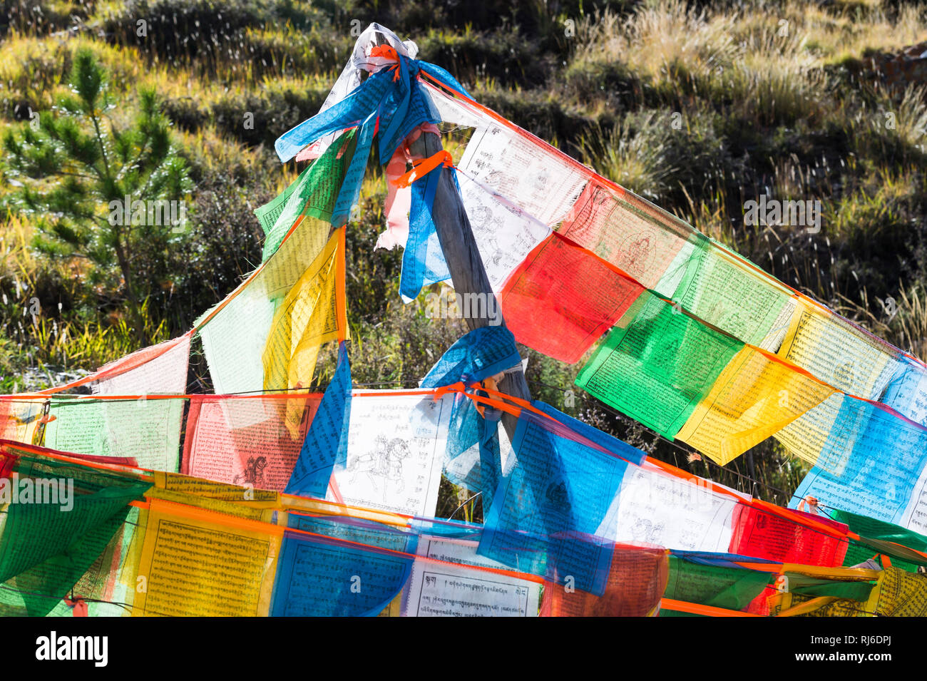 Tibet, Tempelburg Yumbulhakhang, Gebetsfahnen Stockfoto