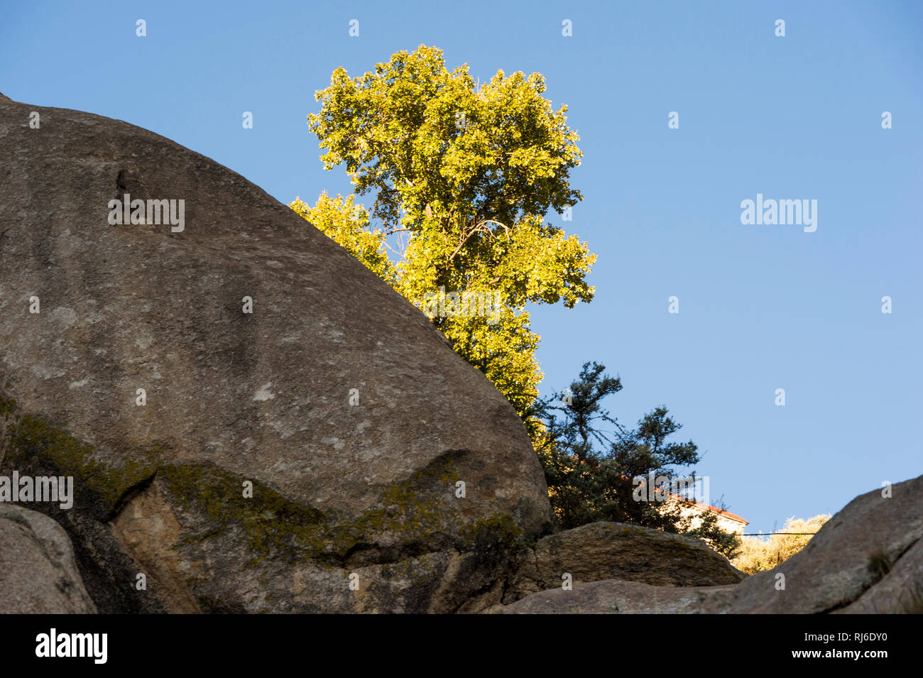 Tibet, das Kloster Sera Stockfoto