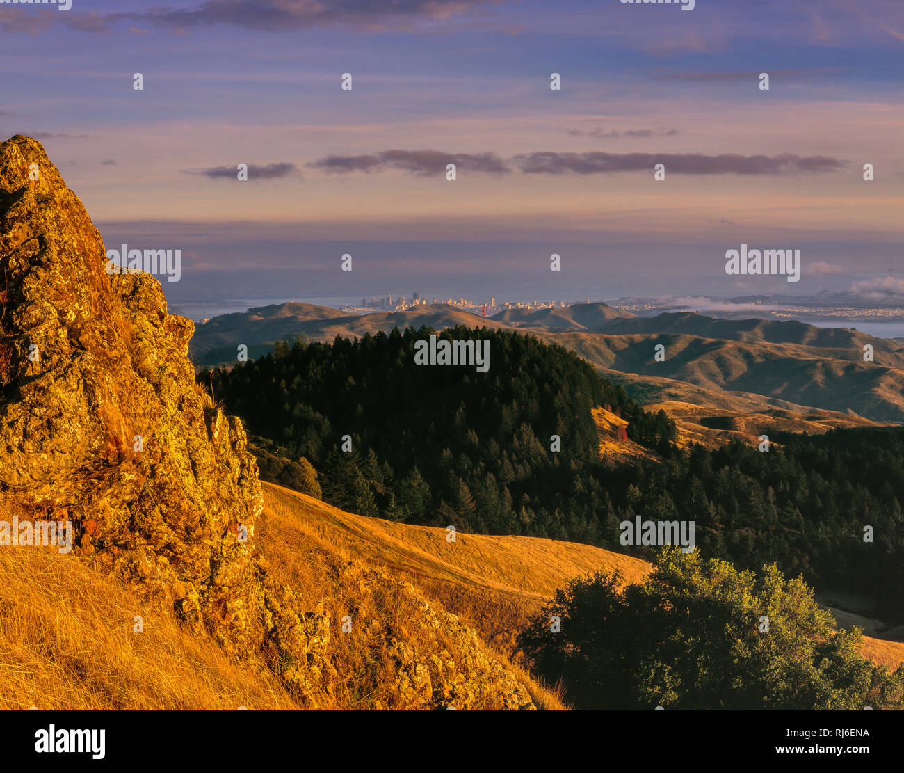 San Francisco aus Bolinas Ridge, Mount Tamalpais State Park, Golden Gate National Recreation Area, Marin County, Kalifornien Stockfoto