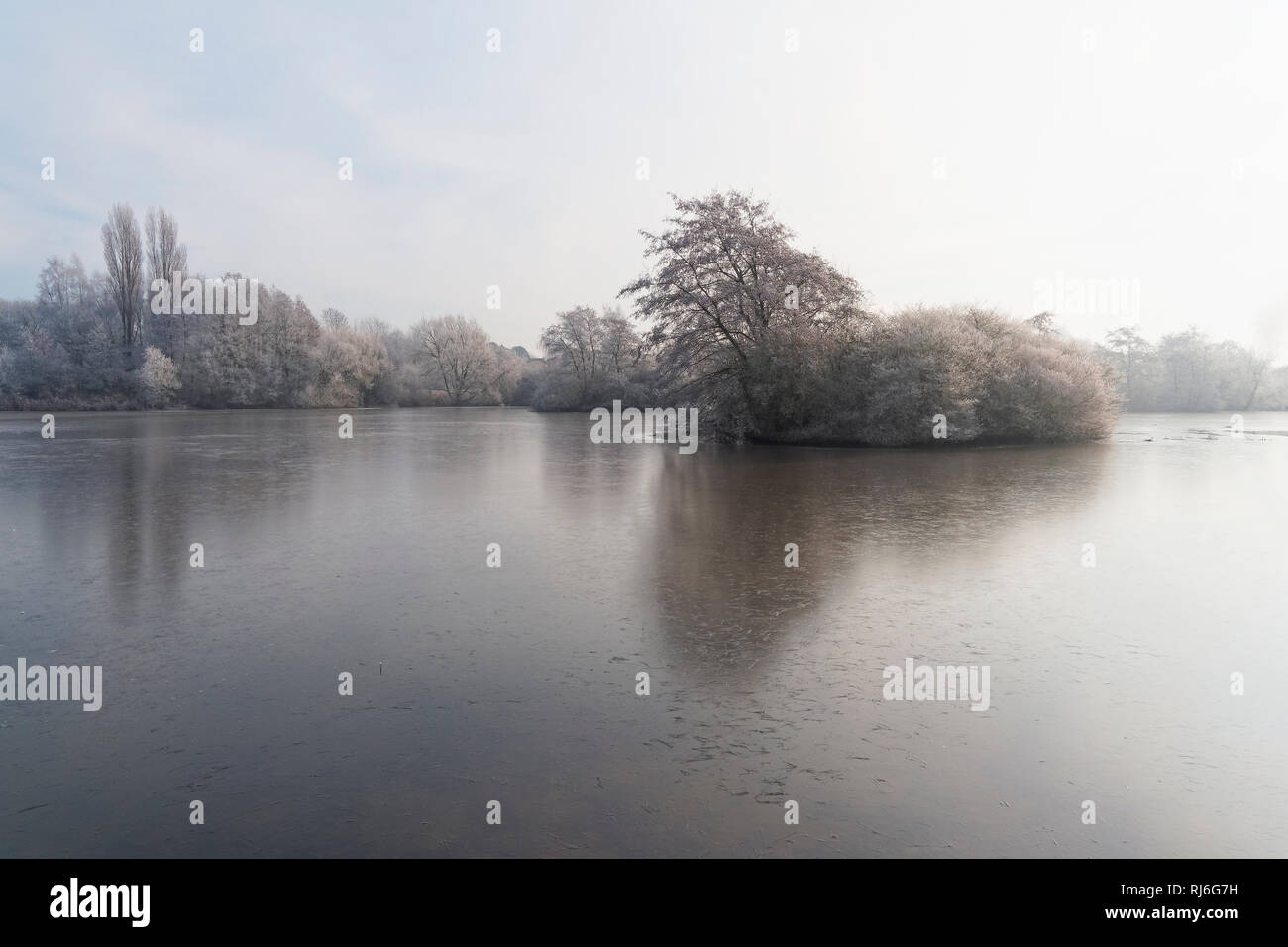 Über einen kleinen zugefrorenen See an einem kalten, nebligen Morgen, zu einer kleinen Insel von Frost bedeckt Bäume und Sträucher Stockfoto