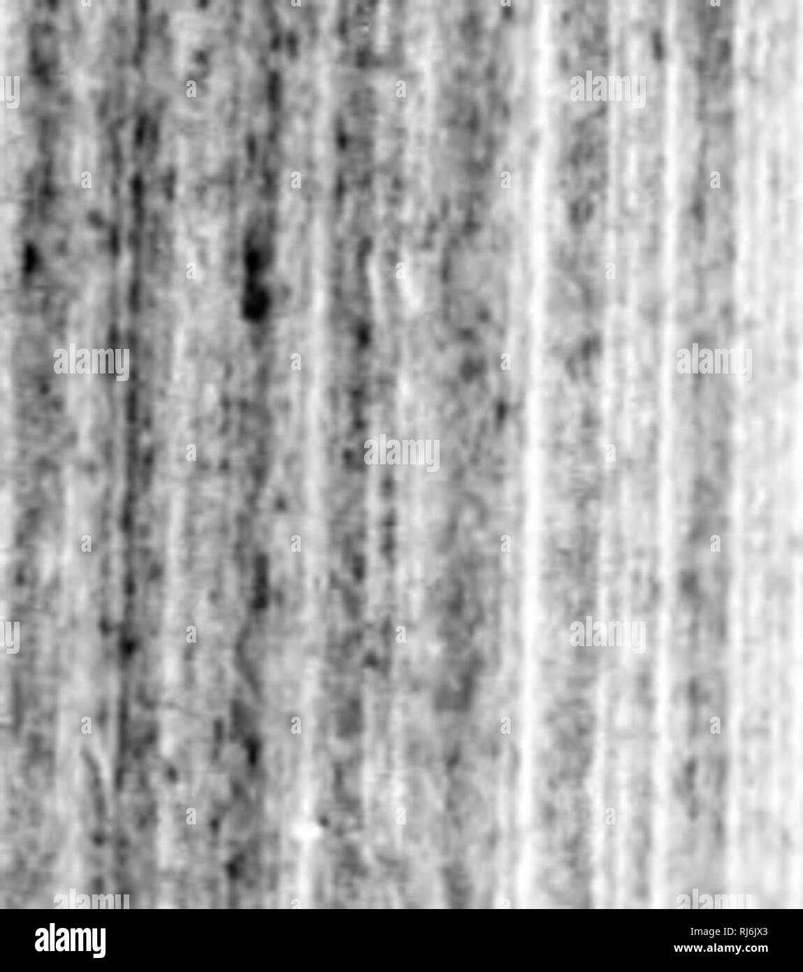 . Manuel d'Gartenbau pratique et d'Baumzucht fruitière [microforme]. Baumzucht fruitière; Jardinage; Obst - Kultur; Gartenarbeit. i-n. Bitte beachten Sie, dass diese Bilder sind von der gescannten Seite Bilder, die digital für die Lesbarkeit verbessert haben mögen - Färbung und Aussehen dieser Abbildungen können nicht perfekt dem Original ähneln. extrahiert. Laroque, G. Québec: J.-A. Langlais Stockfoto