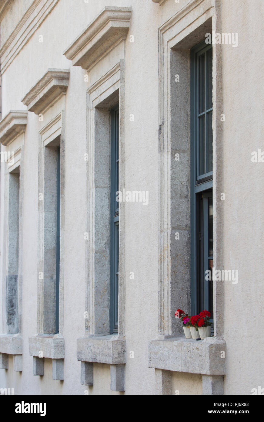 Nahaufnahme von einer Reihe von Fenstern eines klassischen Mauerwerksbau mit roten Blumen an einem der Fenster. Stockfoto