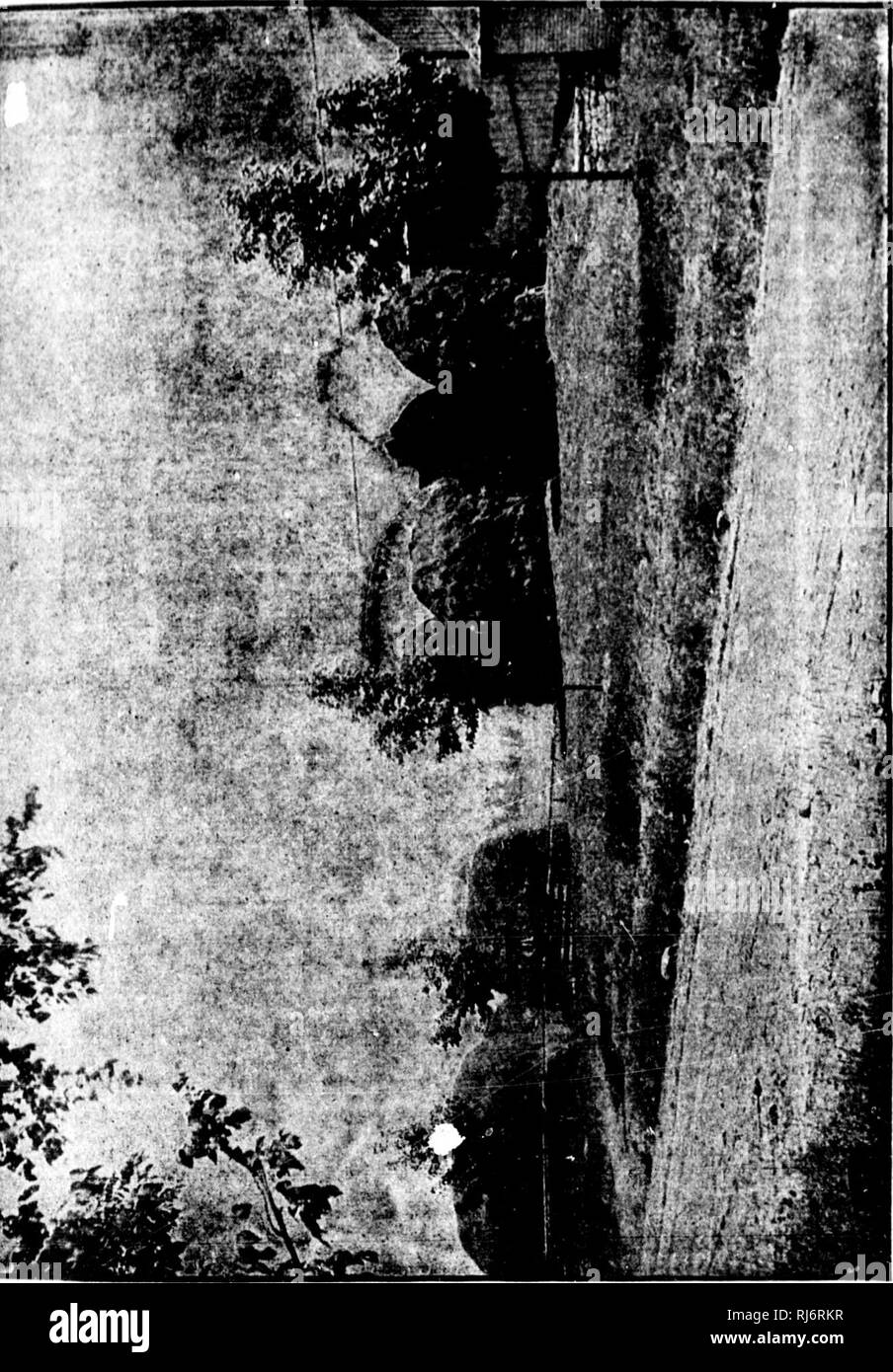 . Manuel d'Landwirtschaft [microforme]. Landwirtschaft Die Landwirtschaft. MANUEL D AURICULTURB. 67. 3 3 m C&lt; h C3u f r i li H II J; 1'il Jiil II. Bitte beachten Sie, dass diese Bilder sind von der gescannten Seite Bilder, die digital für die Lesbarkeit verbessert haben mögen - Färbung und Aussehen dieser Abbildungen können nicht perfekt dem Original ähneln. extrahiert. Barnard, Édouard-A. (Édouard André), 1835-1898. Montréal: E.Senécal Stockfoto