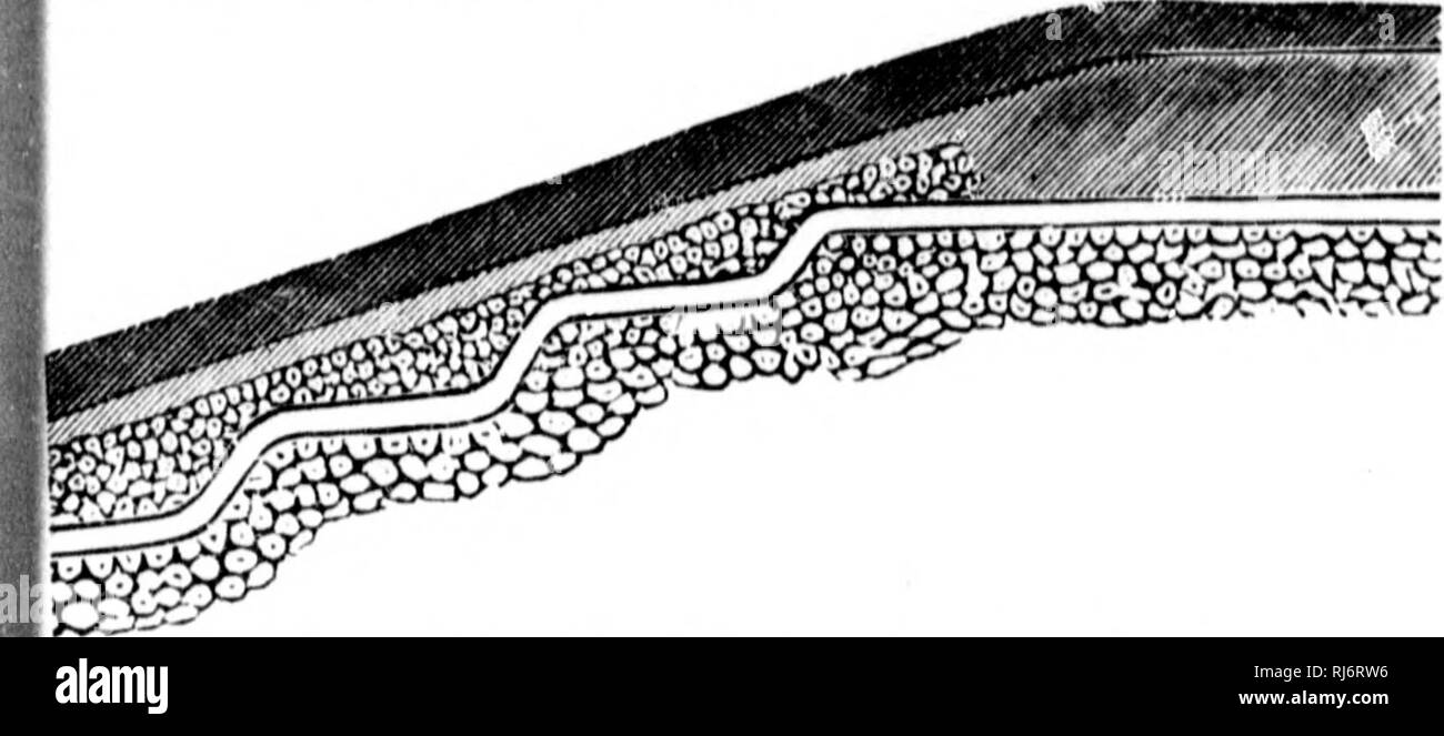 . Manuel d'Landwirtschaft [microforme]. Landwirtschaft Die Landwirtschaft. Gebrauchsanw. EL1) A&lt; aiI (! rLTUIlE. 20 96. Entleeren en Escalier.-La fii?. 18 Rci) îoiuliK rdsento un-drain' lour. ainonuut, l'Eau d'un Plateau éové sehr un-Gelände i) lufs Bas, par Niarchos ou en Escalier.. Bitte beachten Sie, dass diese Bilder sind von der gescannten Seite Bilder, die digital für die Lesbarkeit verbessert haben mögen - Färbung und Aussehen dieser Abbildungen können nicht perfekt dem Original ähneln. extrahiert. Barnard, Édouard-A. (Édouard André), 1835-1898. Montréal: E.Senécal Stockfoto