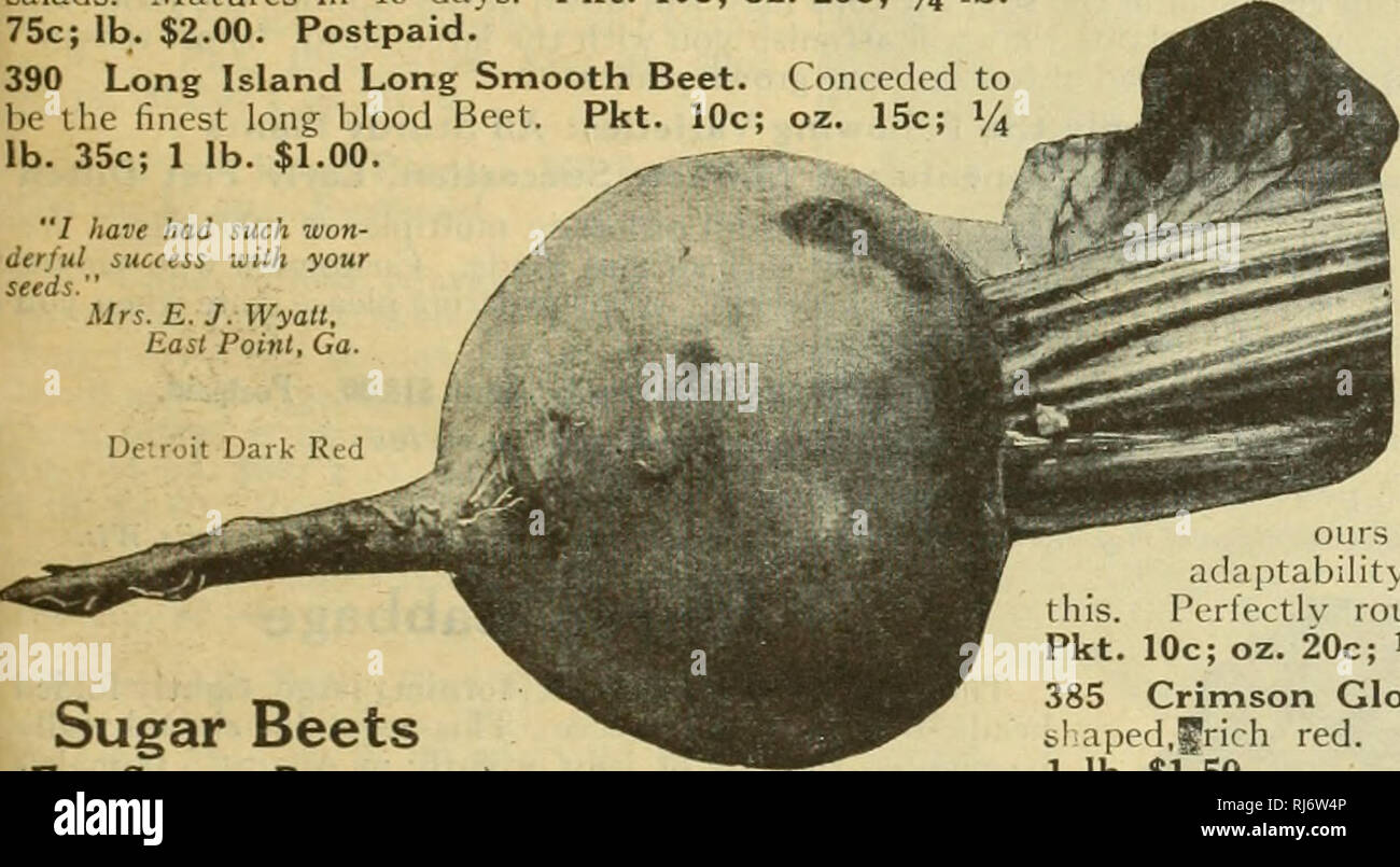 . Childs' Frühling 1930 55. Jahr: Kein Verkauf abgeschlossen, bis unser Kunde ist zufrieden. Verkaufskataloge Samen; Baumschulen (Gartenbau) Kataloge; Gemüse Samen Kataloge, Leuchtmittel (Pflanzen); Samen Samen Kataloge Kataloge Kataloge; Blumen; Obstbäume Kataloge; John Lewis Childs (Firma); kommerzielle Kataloge; Baumschulen (Gartenbau); Gemüse; Lampen (Pflanzen); Samen; Blumen; Obstbäume. Cliiids 'Early Wonder"/haben wie gewonnen - derful Erfolg mit deinem Samen" Frau E. J. Wyatt, East Point, Ga. Für Zucker, Zuckerrüben (Zwecke) 425 Klein Wanzlebein. Zuckerrüben. Dies ist die Sorte ge Stockfoto