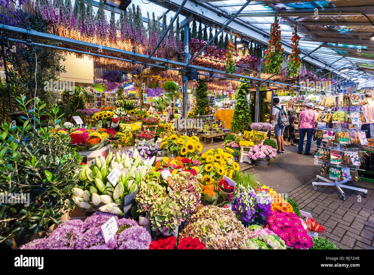 Blumenmarkt an der singel Fotos und Bildmaterial in hoher Auflösung