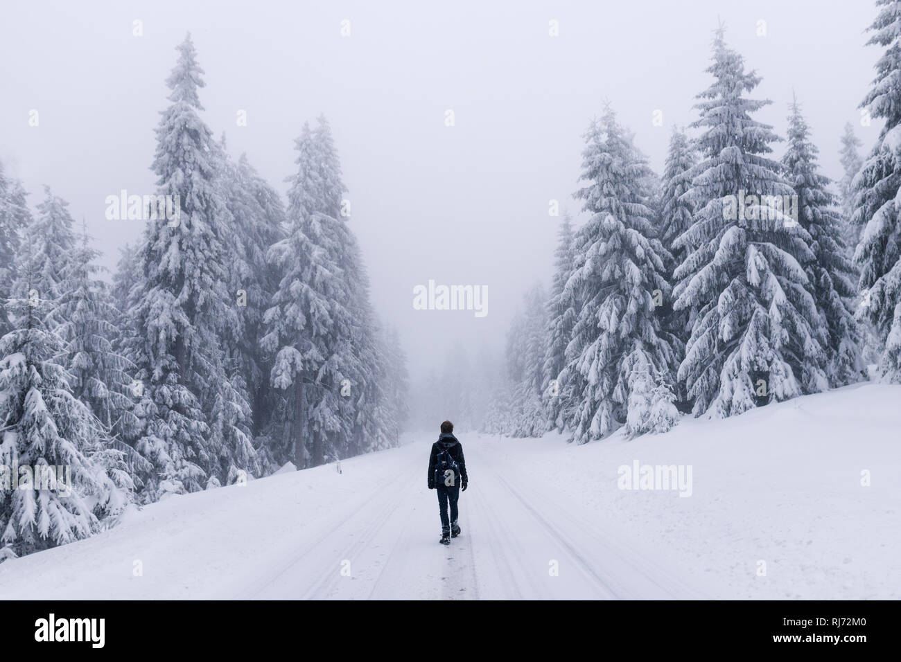 Winterwanderung am Morgen im Harz, Torfhaus, Deutschland Stockfoto