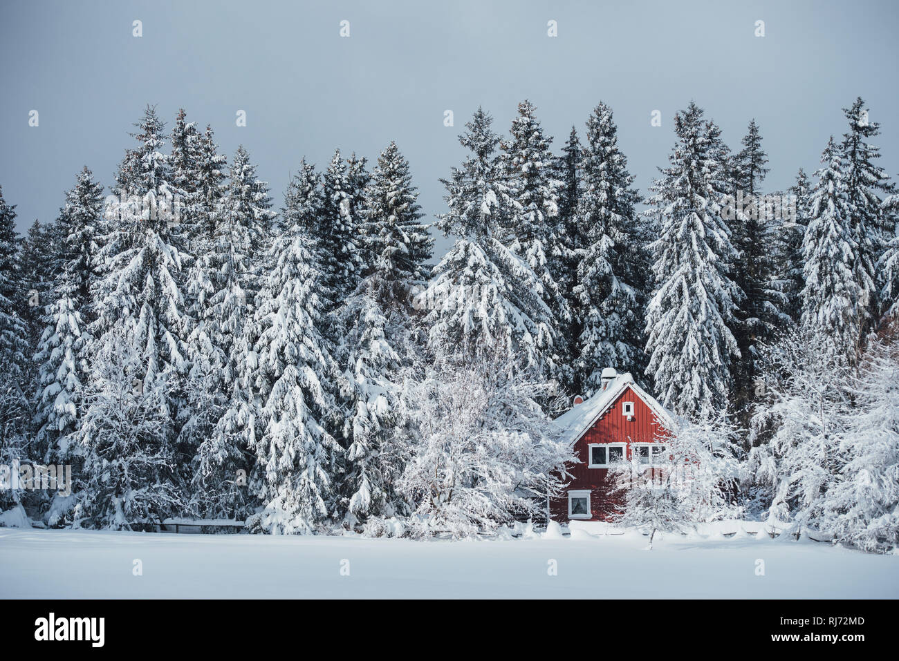 Rotes Haus im Wald, Winter, Harz, Deutschland Stockfoto
