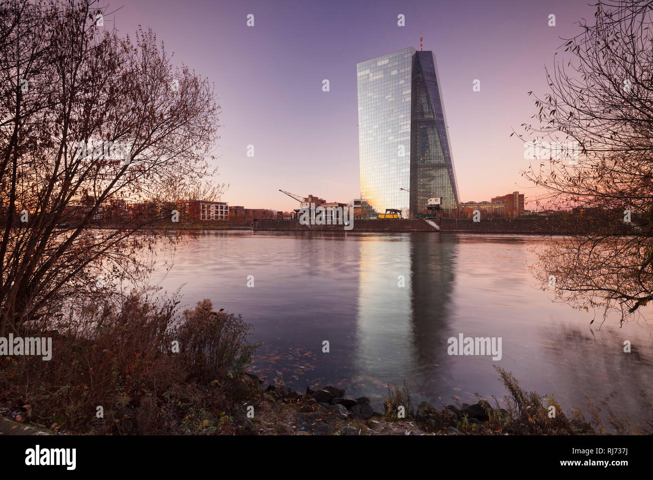 Blick über den Main zur Europäischen Zentralbank, Frankfurt, Hessen, Deutschland Stockfoto