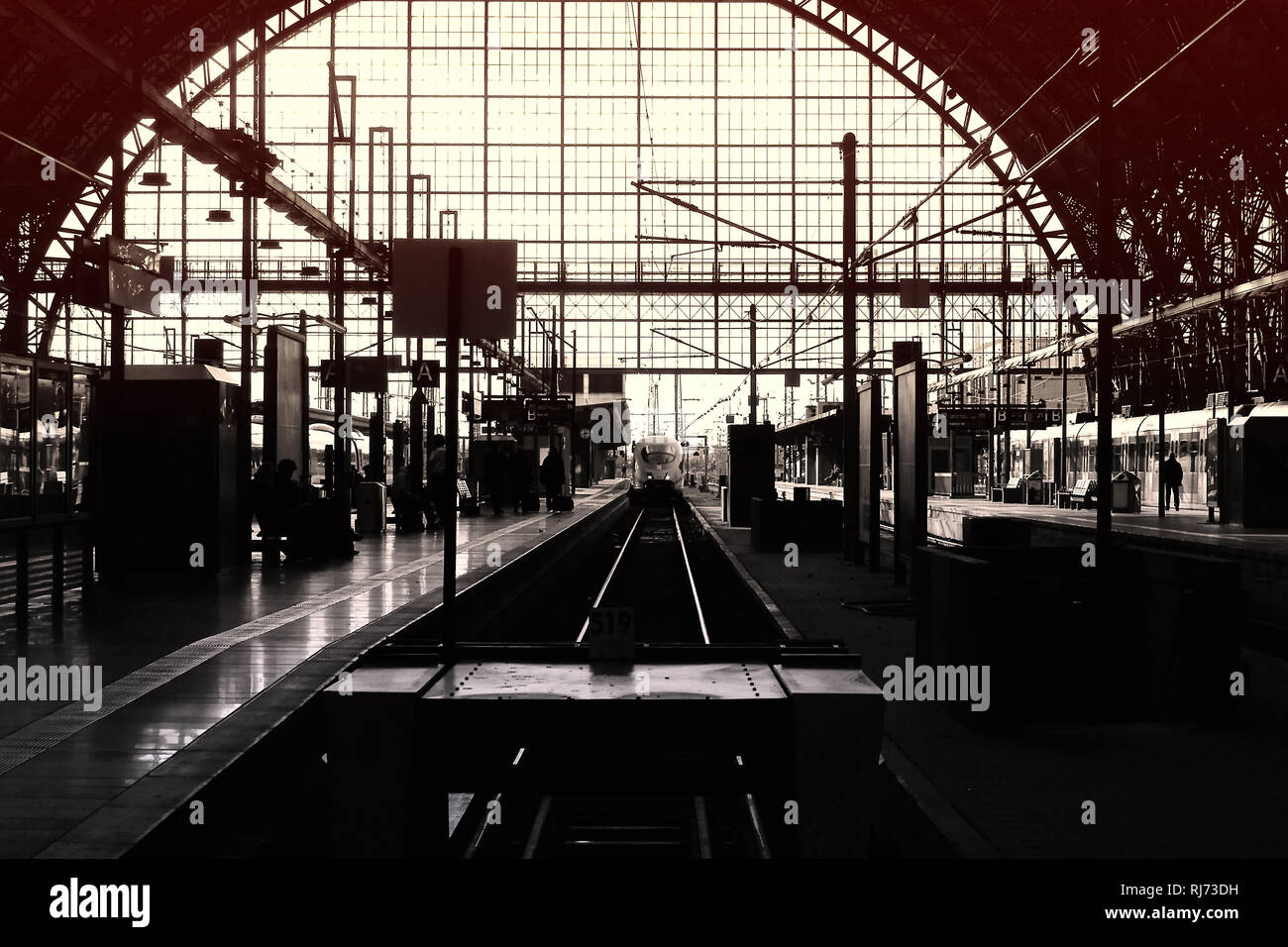 Ein ankommender Schnellzug der Deutschen Bahn im Frankfurter Hauptbahnhof, Stockfoto