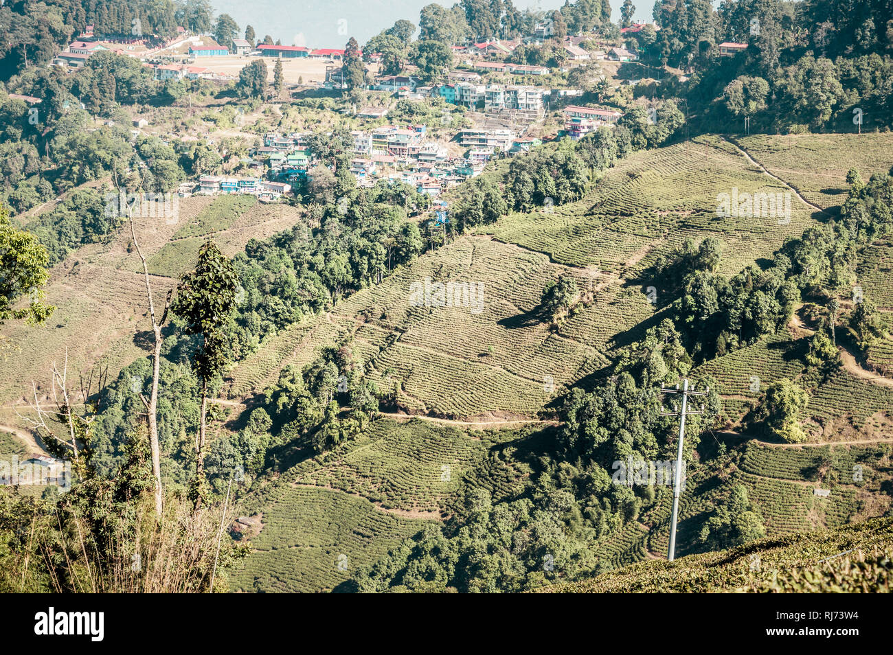 Die Landschaft der Tee Plantage. 'Kanan Devan Hills Plantagen, Munnar" in Idukki District im indischen Bundesstaat Kerala. Beachten Schlüssel zu Stockfoto