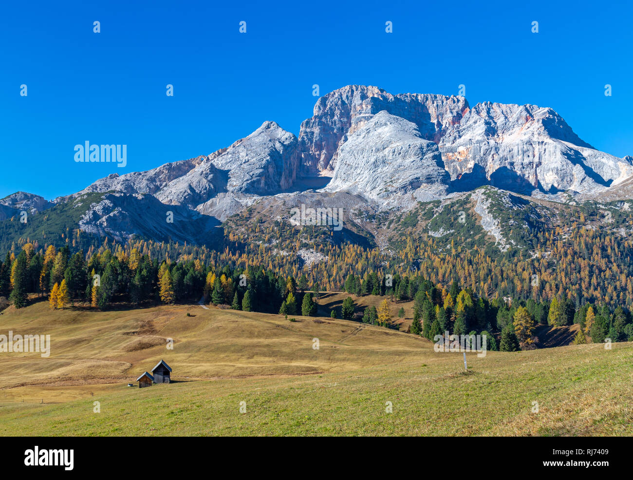 Blick auf die Plätzwiese auf dem Berg Rotwand, Dolomiten, Südtirol Stockfoto