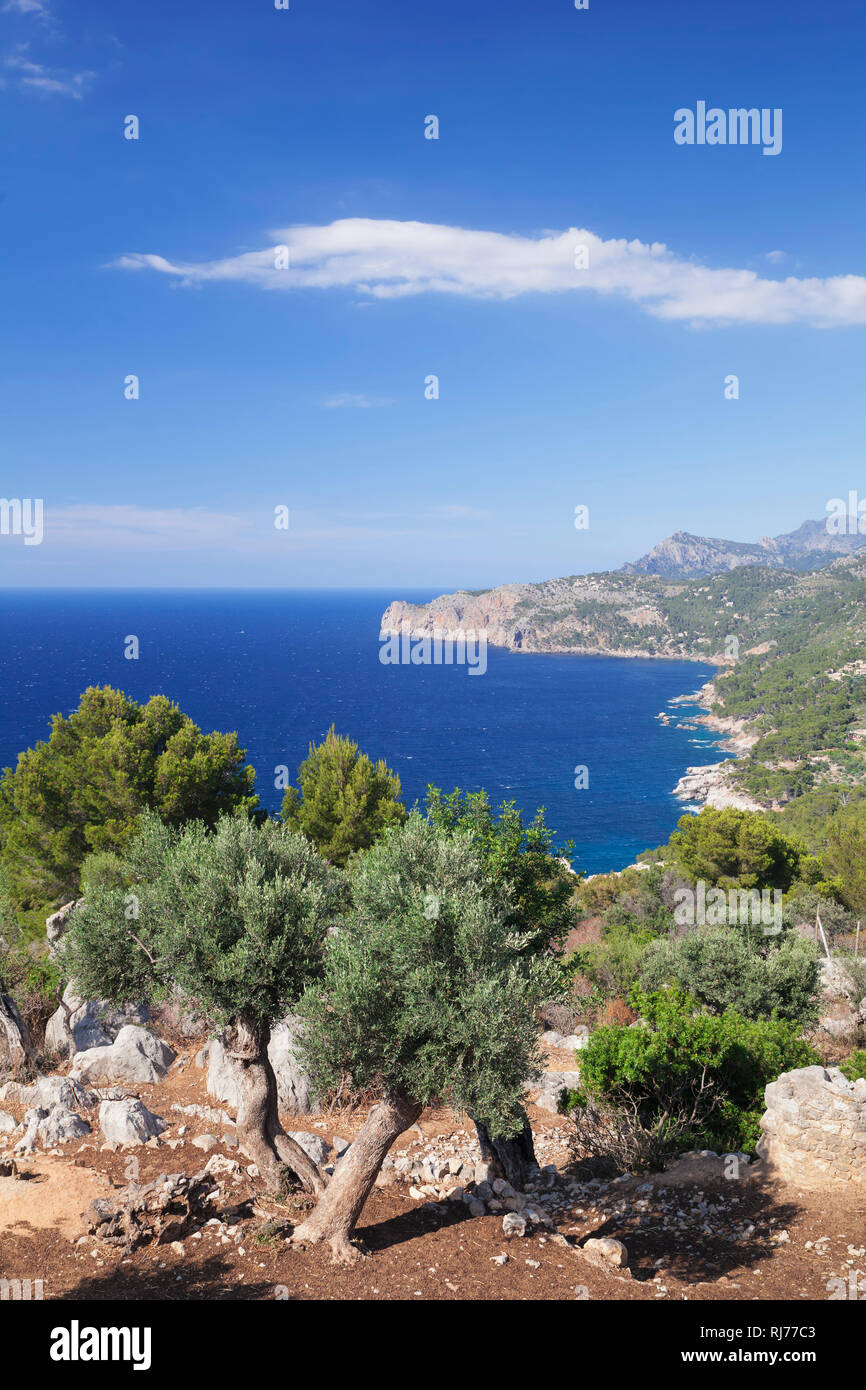 Westküste, Sierra de Tramuntana, bei Deia, UNESCO-Welterbe, Mallorca, Balearen, Spanien Stockfoto