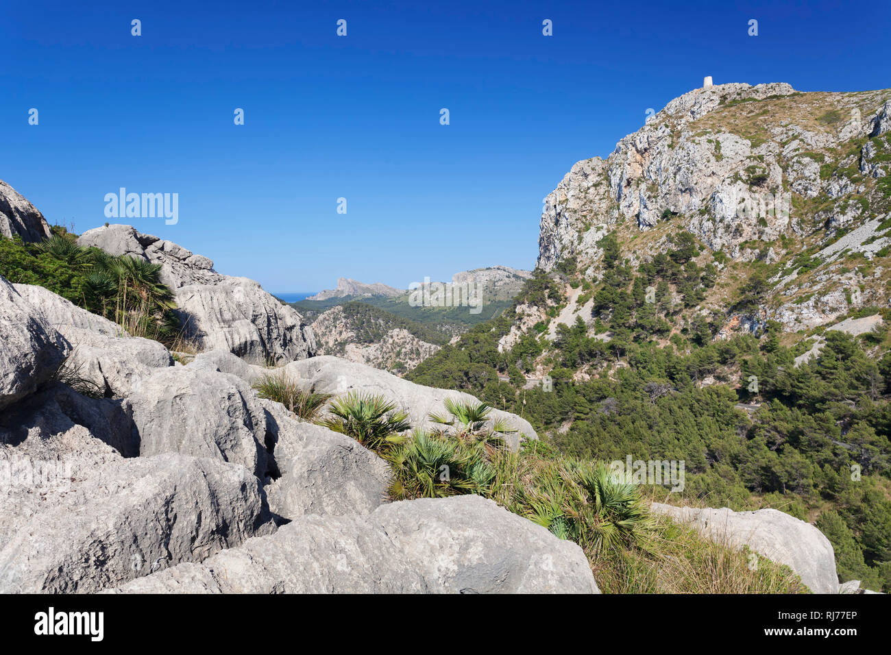 Blick zum Mirador d'Es Colomer (Mal de Pas) mit Wachturm Talaia d'Albercuix, Cap de Formentor, Mallorca, Balearen, Spanien Stockfoto