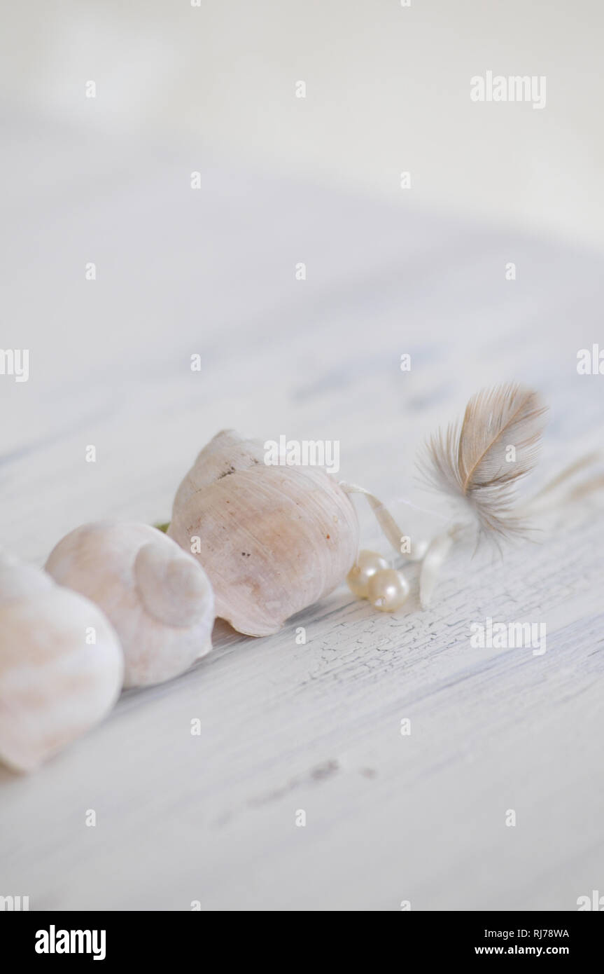 Schneckenhäuser, Perlen und Feder in weißem Shabby Chic Untergrund, Hintergrund unscharf, Close-up Stockfoto